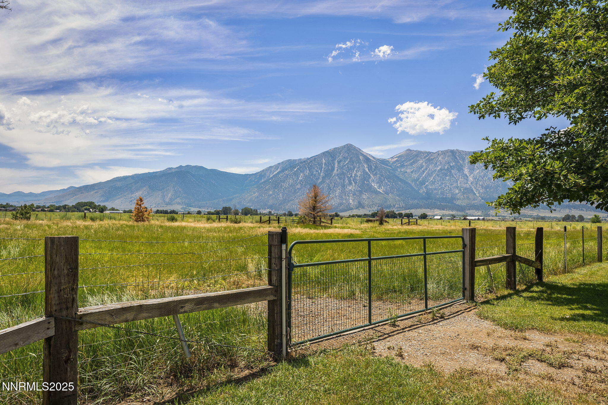 62-web-or-mls-_DSC2398