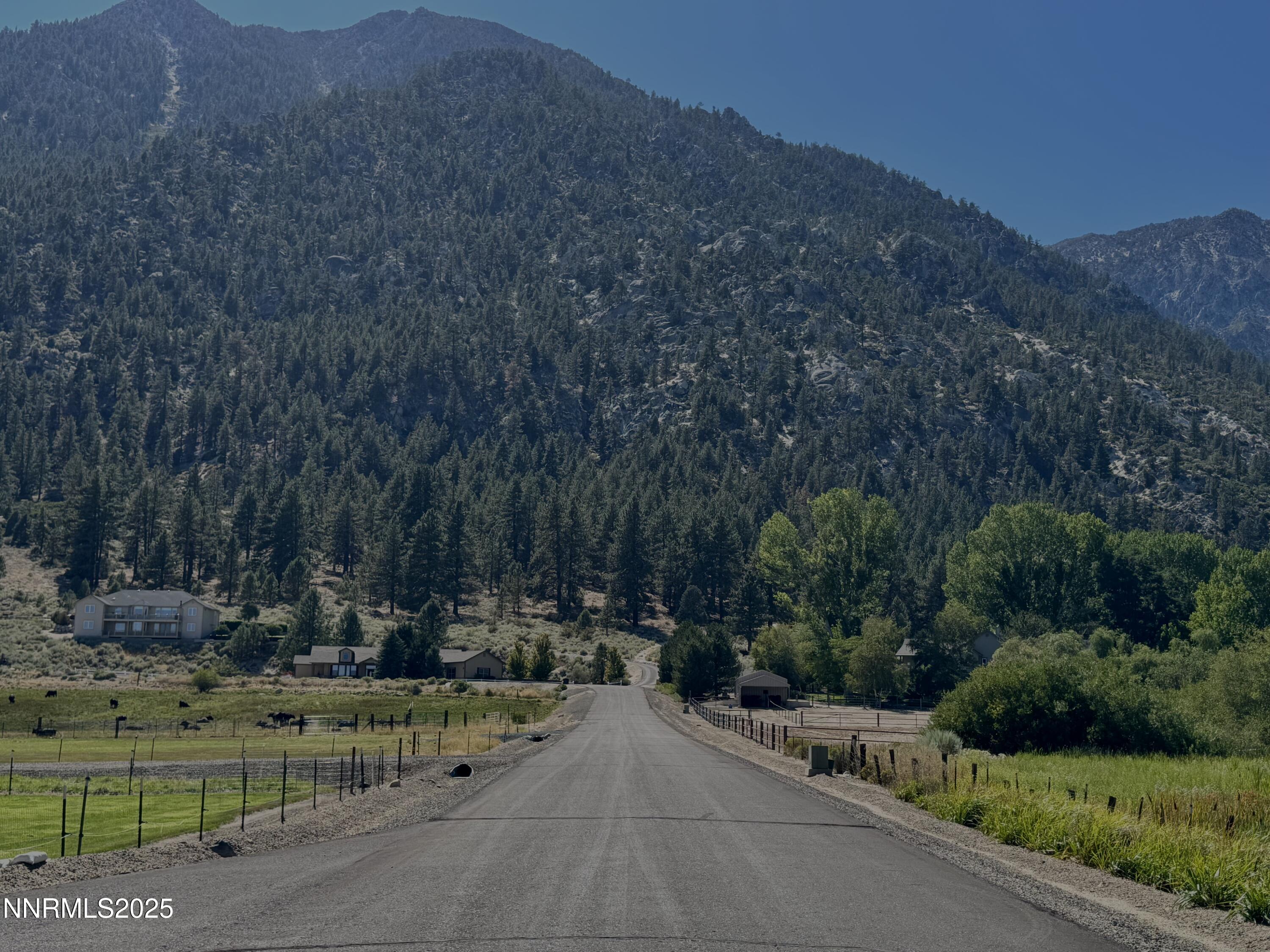 Photo Aug 19 2025, 3 13 10 PM