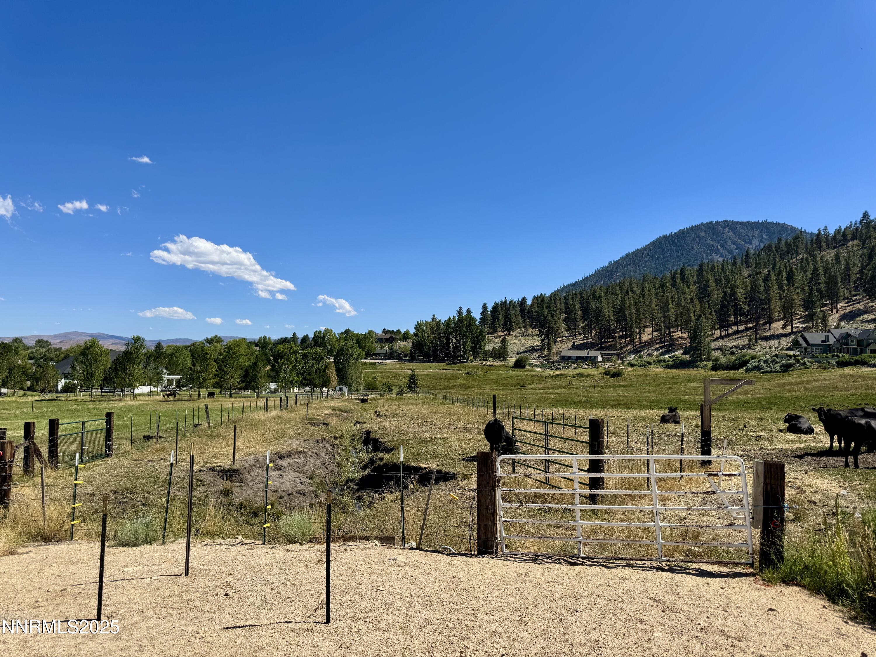 Photo Aug 19 2025, 3 02 04 PM