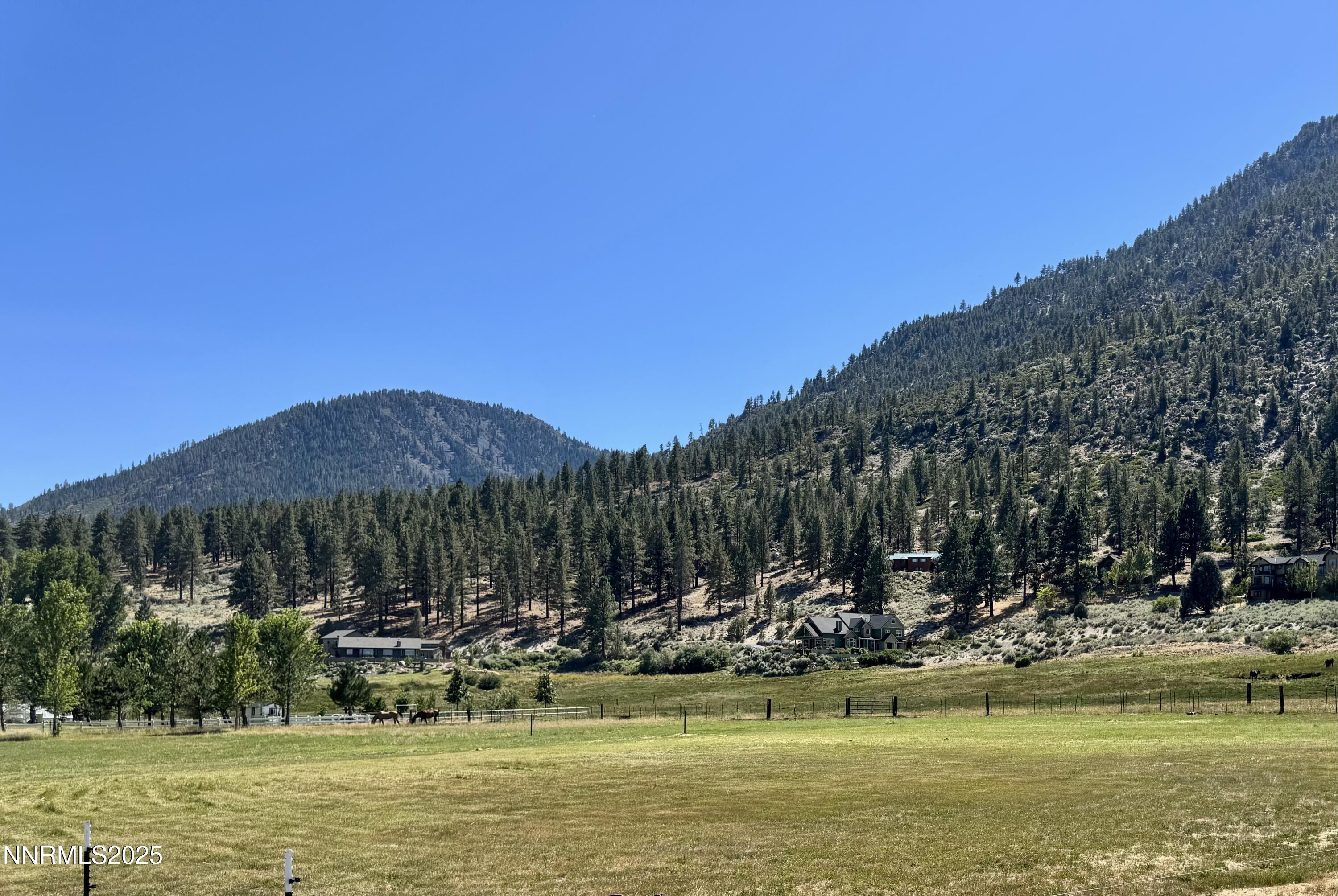 Photo Aug 19 2025, 2 53 53 PM