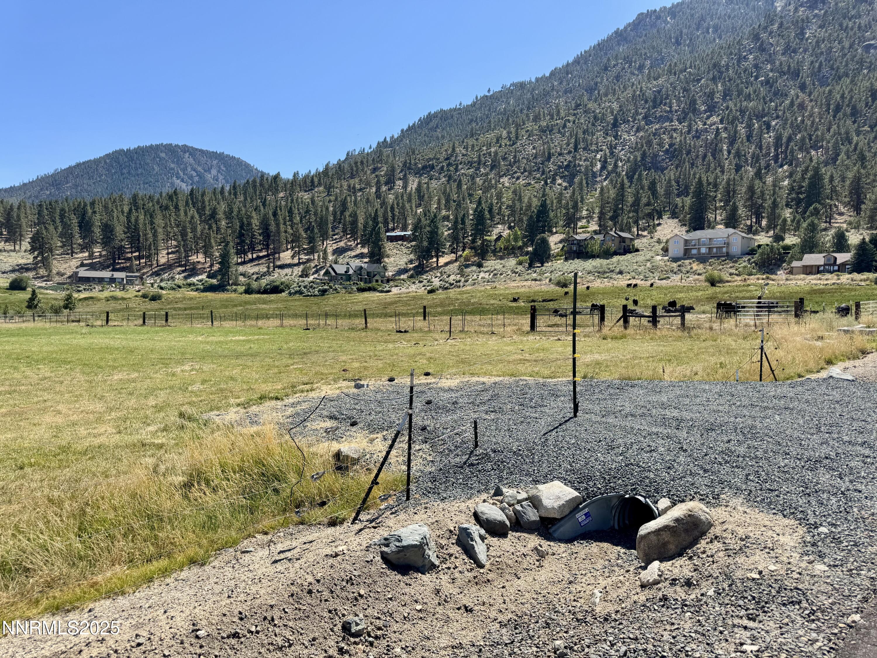 Photo Aug 19 2025, 2 54 27 PM (2)