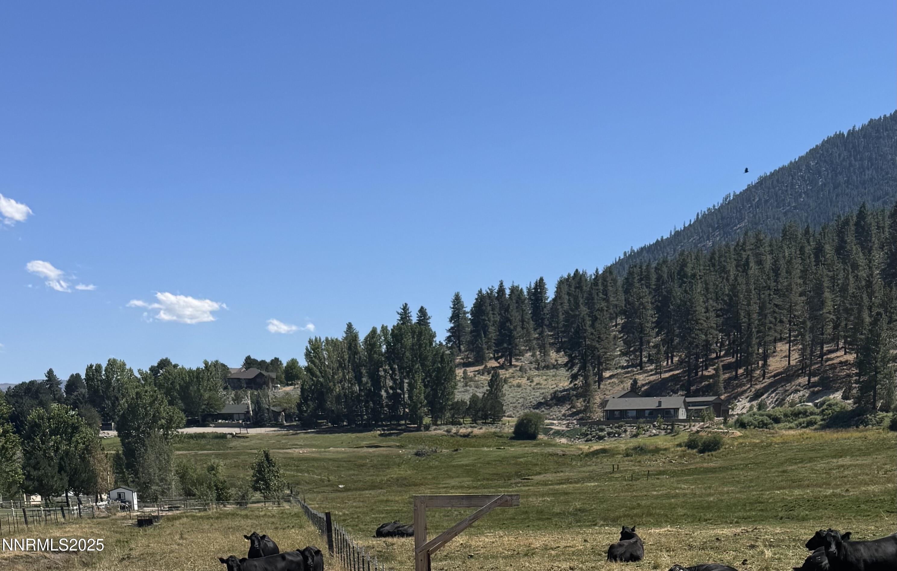 Photo Aug 19 2025, 2 38 24 PM