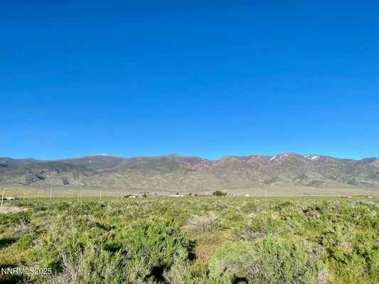 22510 PROSSER CT, LOVELOCK, NV 89419 - Image e5ef47ab5889e2c2481240e3a6d6b2d2/1908777128