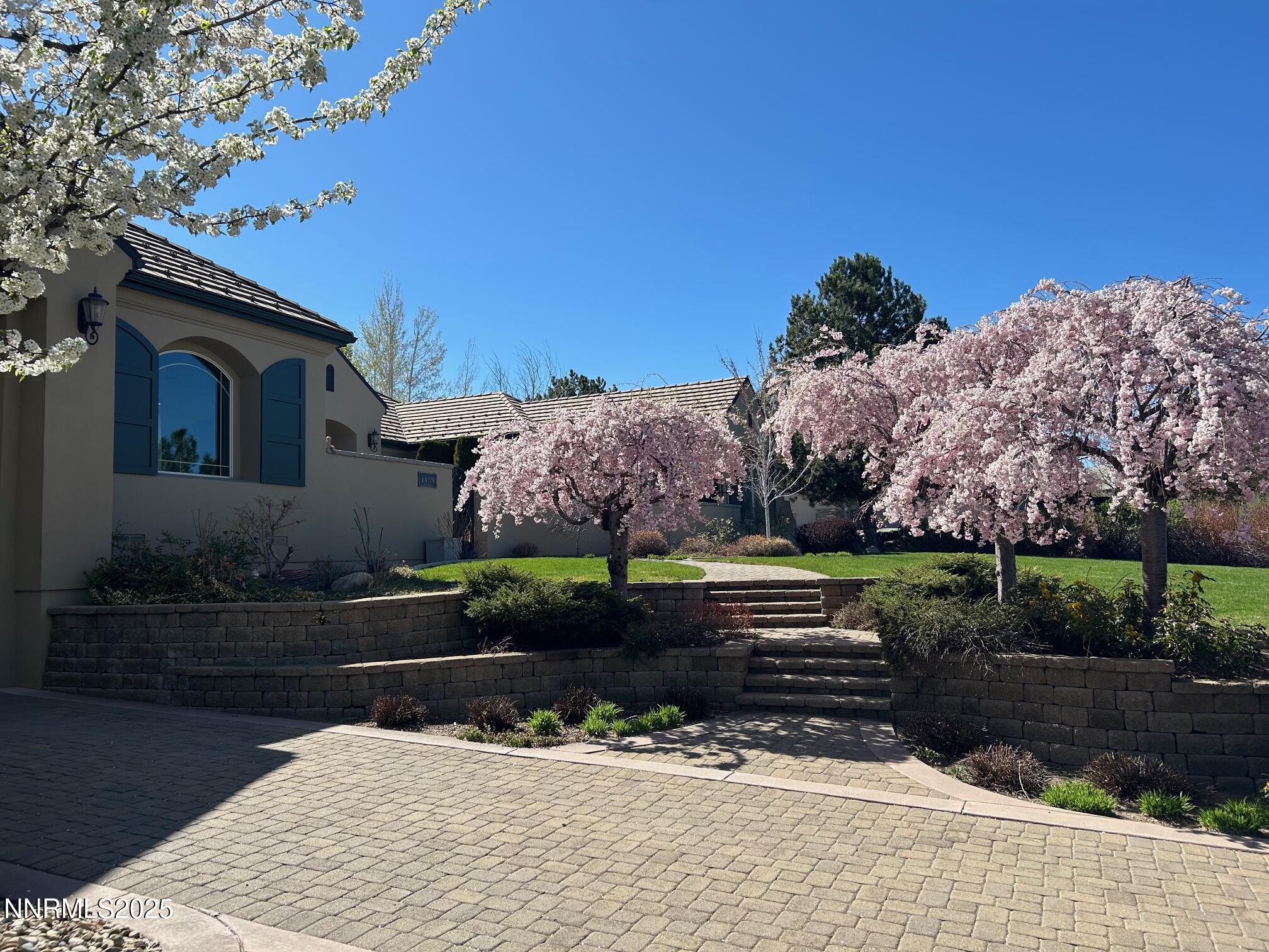 Black Eagle Front Kathy