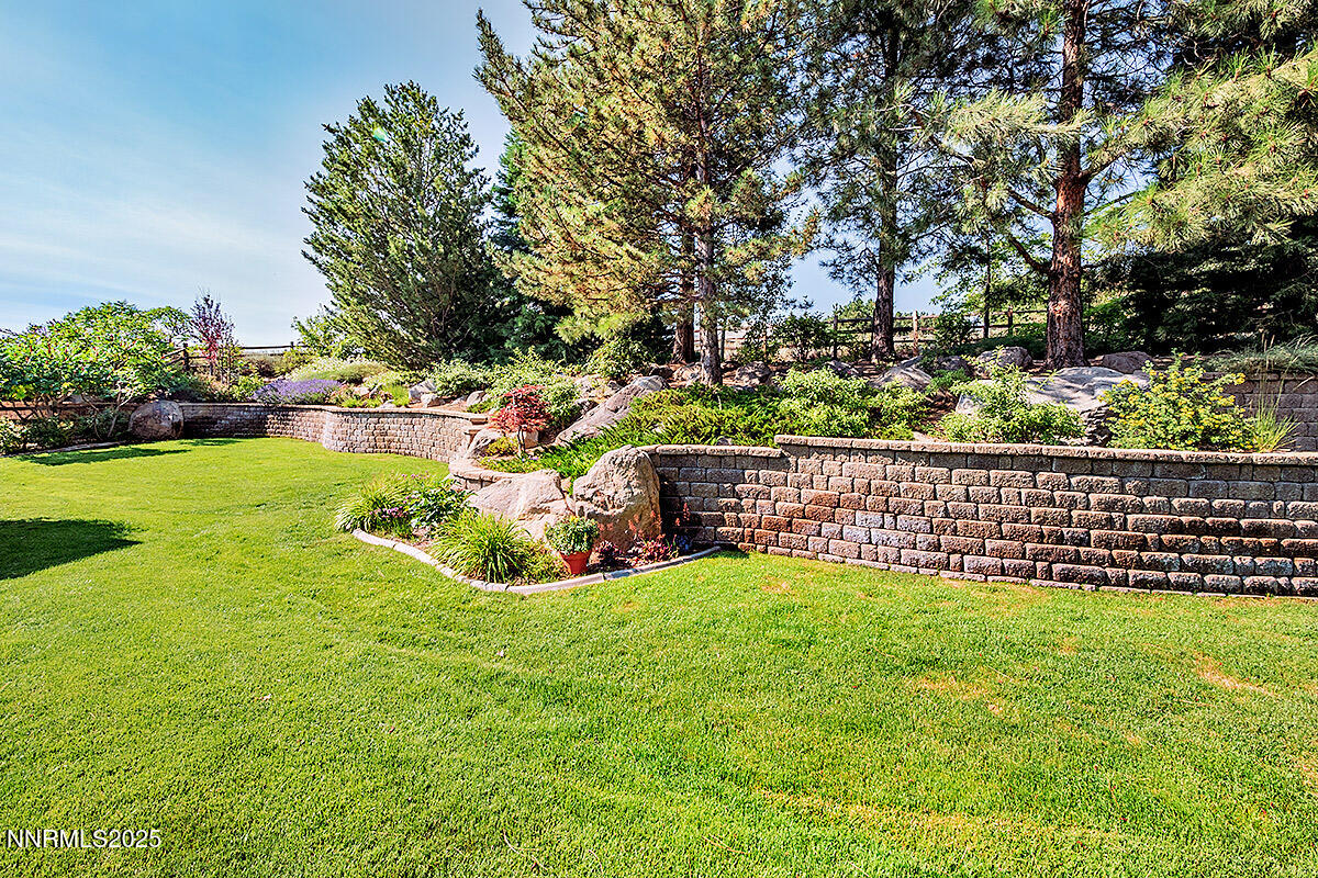 Black Eagle Daylight Backyard wall