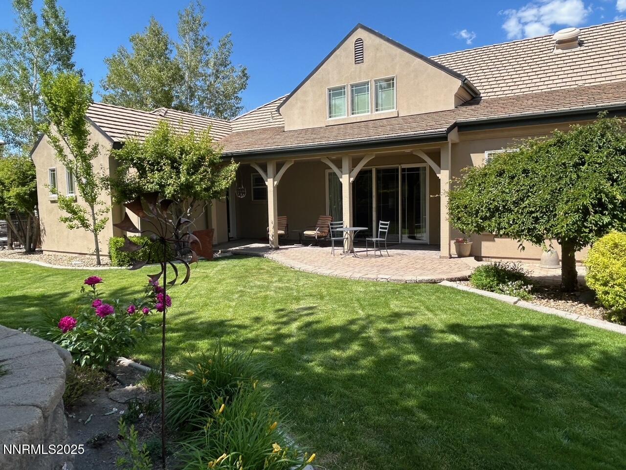 Black Eagle Backyard Kathy 2