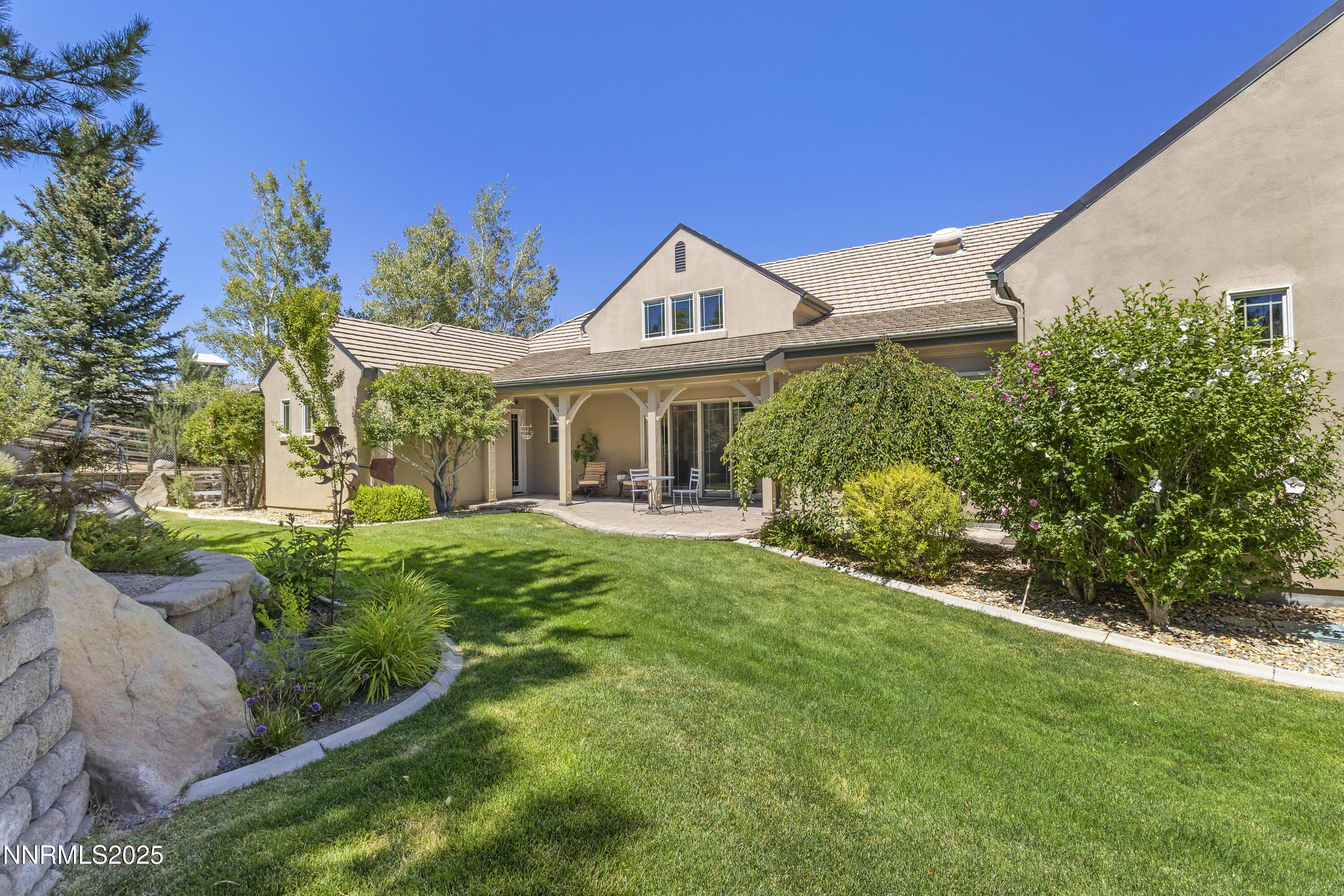 Black Eagle Daylight Backyard