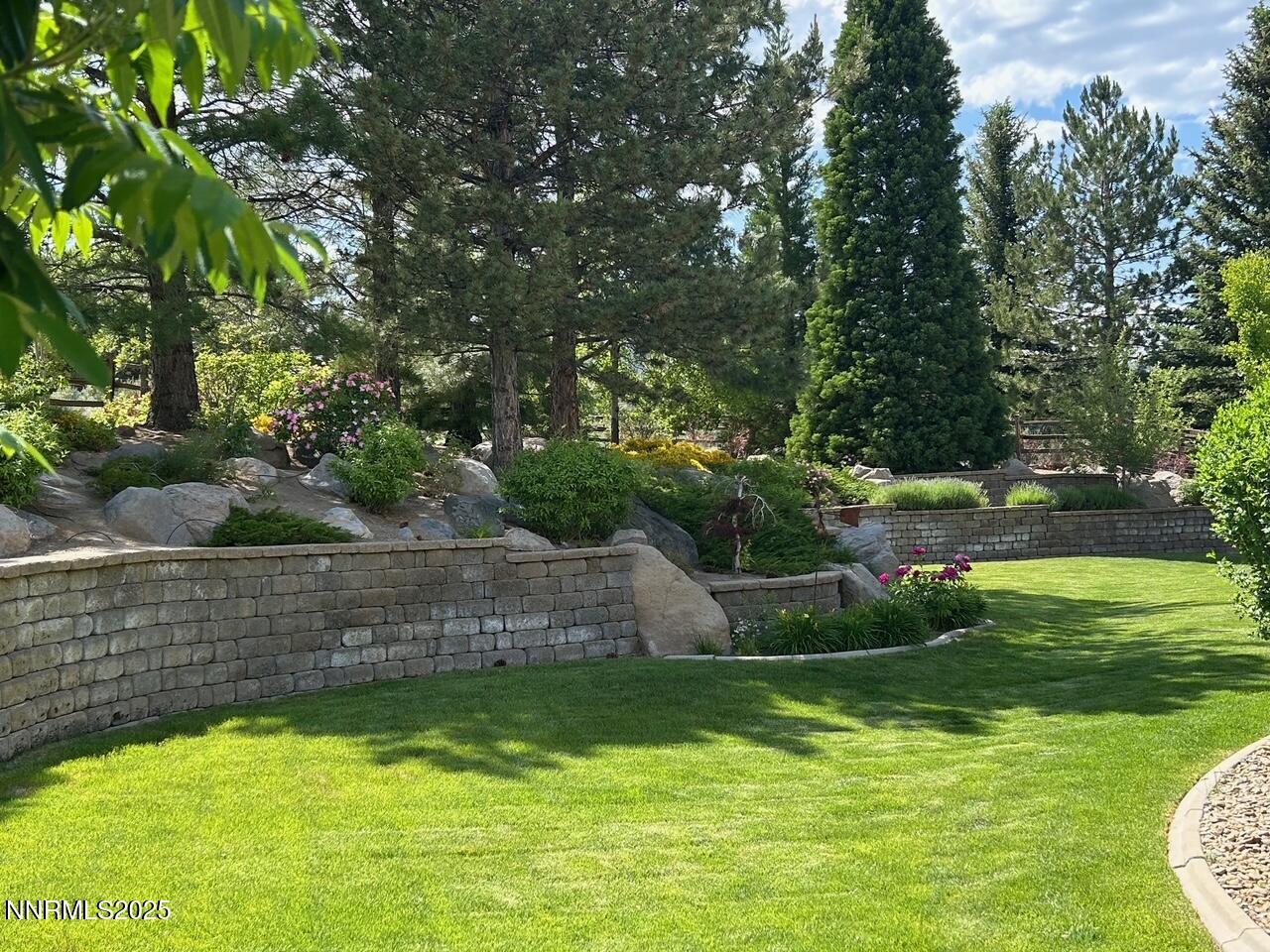 Black Eagle Backyard Kathy