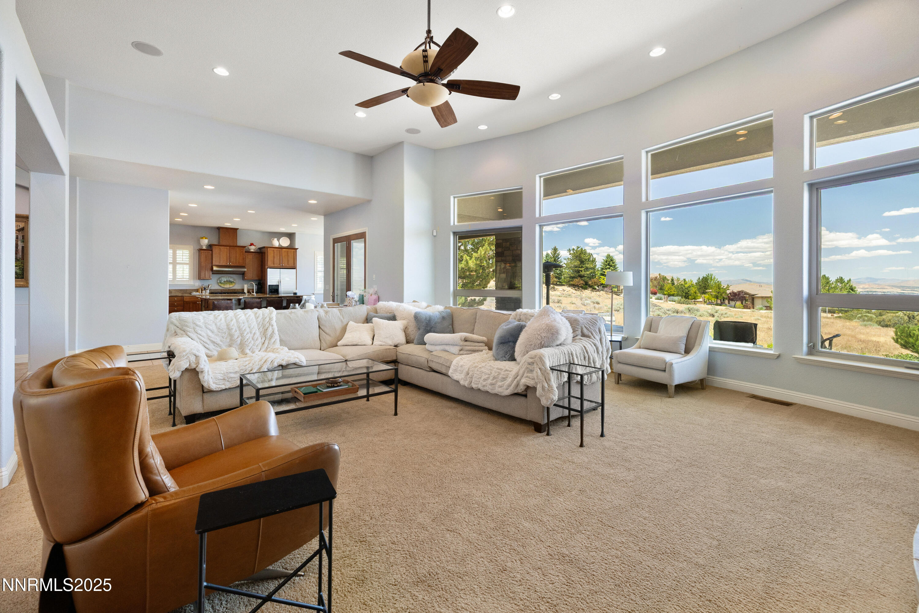 011_10-print-3639_silver_vista-11_302