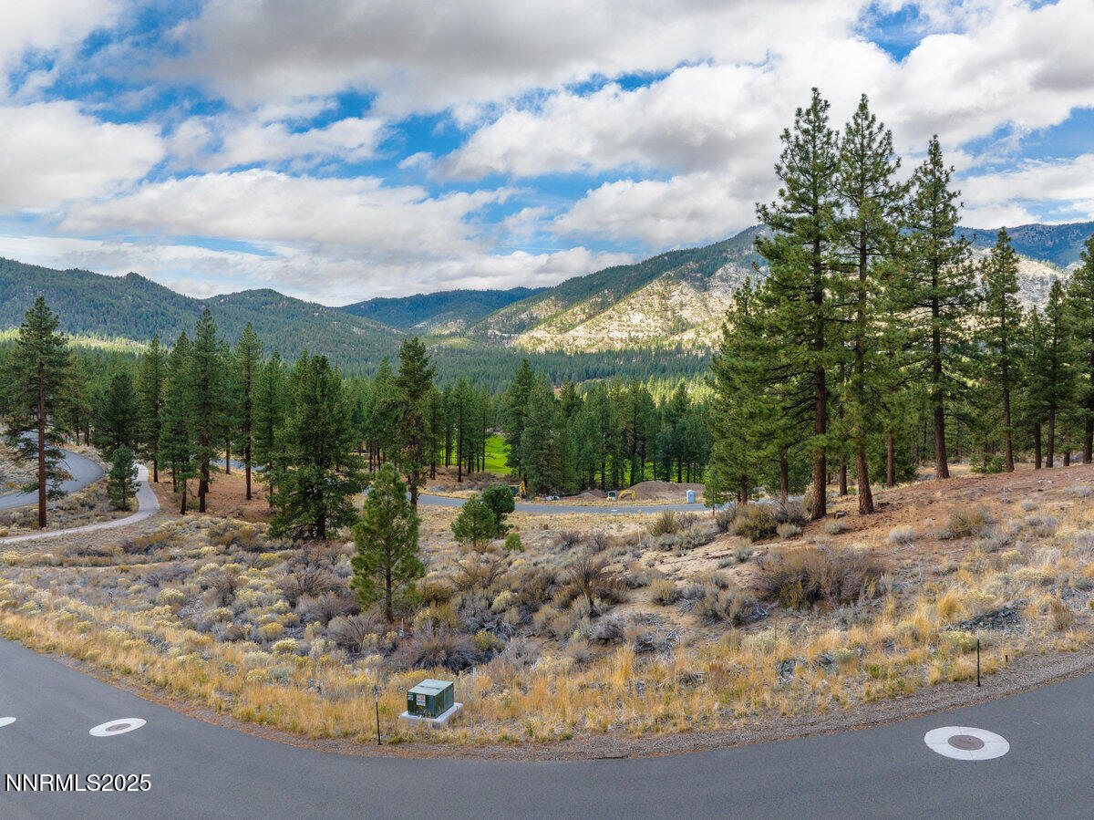003_569_headwaters-3_317