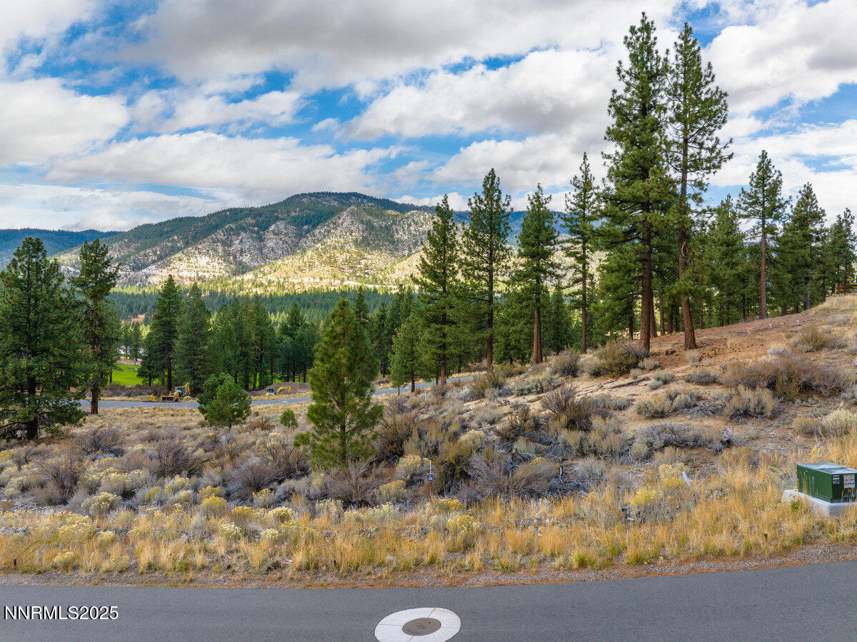 004_569_headwaters-4_864