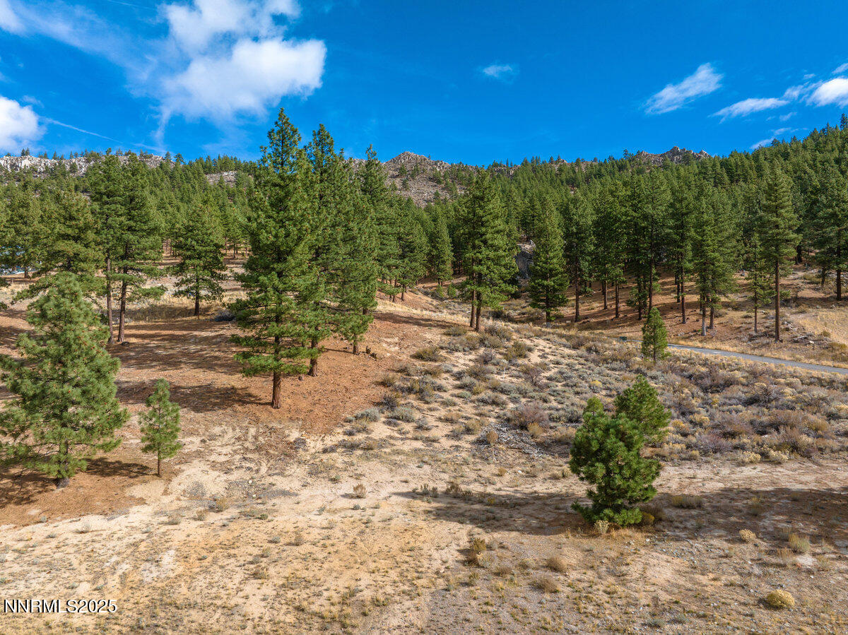 015_569_headwaters-15_787