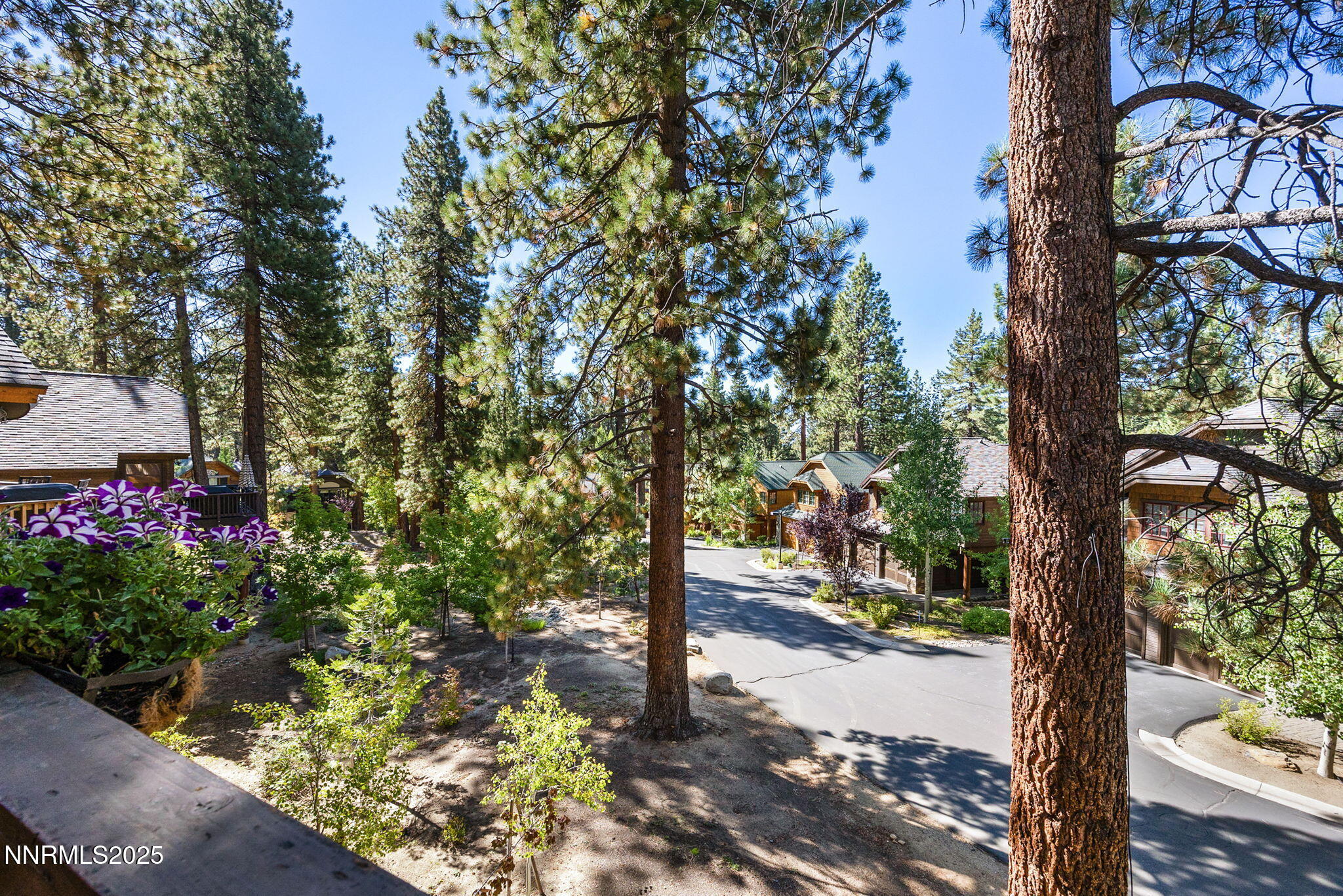 12-web-or-mls-779 Rosewood-46