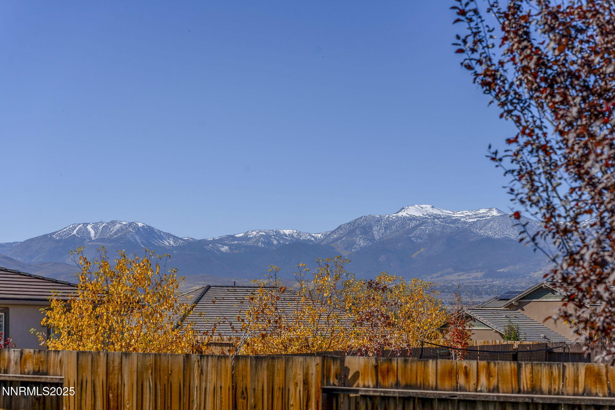 33-web-or-mls-_DSC0139