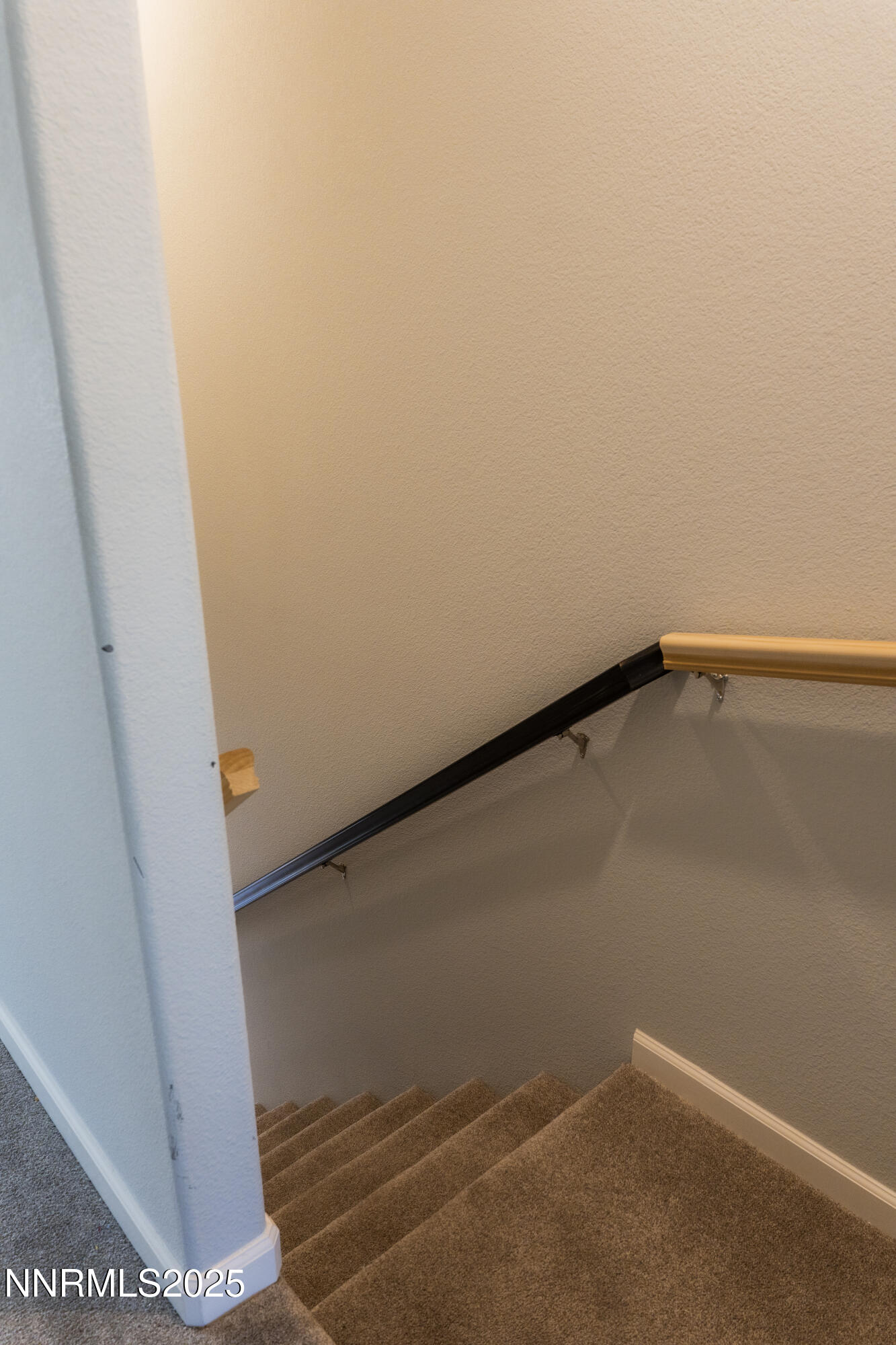 IslaPhoto-2780-Elise-Irene-Lane-6