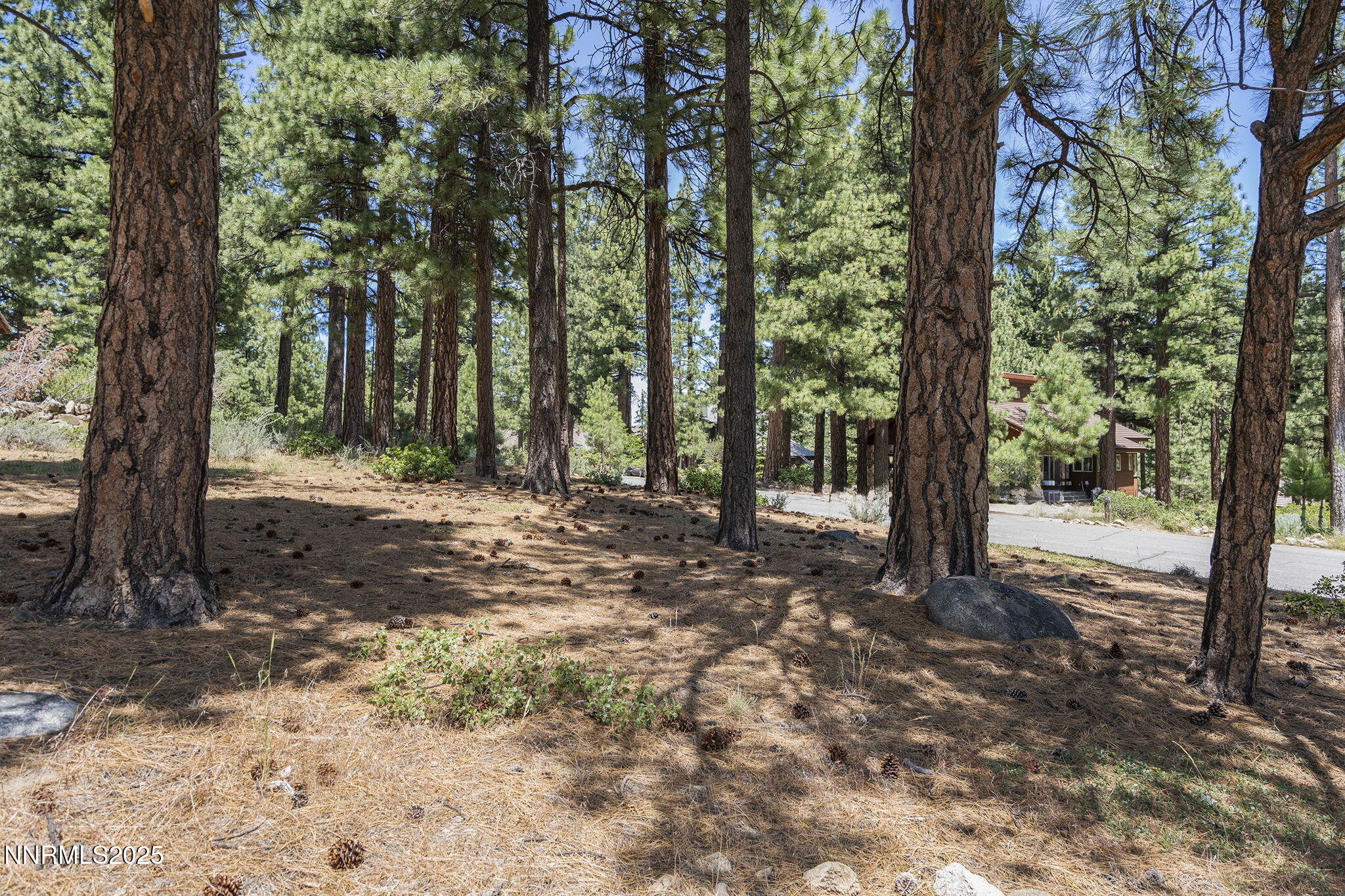 9-web-or-mls-_DSC0309