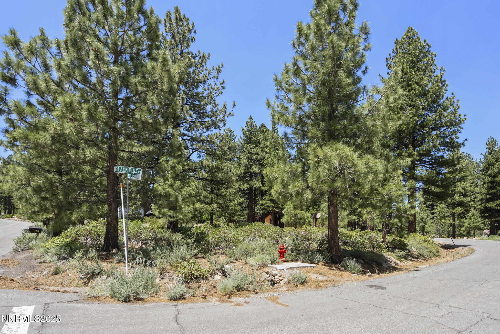 13-web-or-mls-_DSC0334