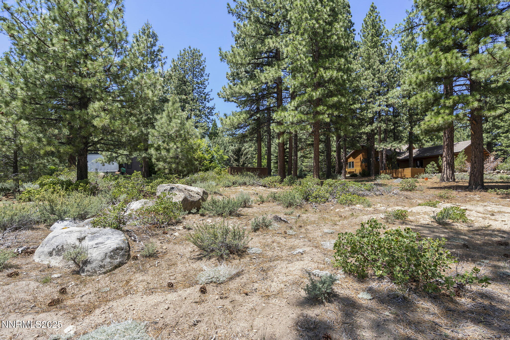 12-web-or-mls-_DSC0329