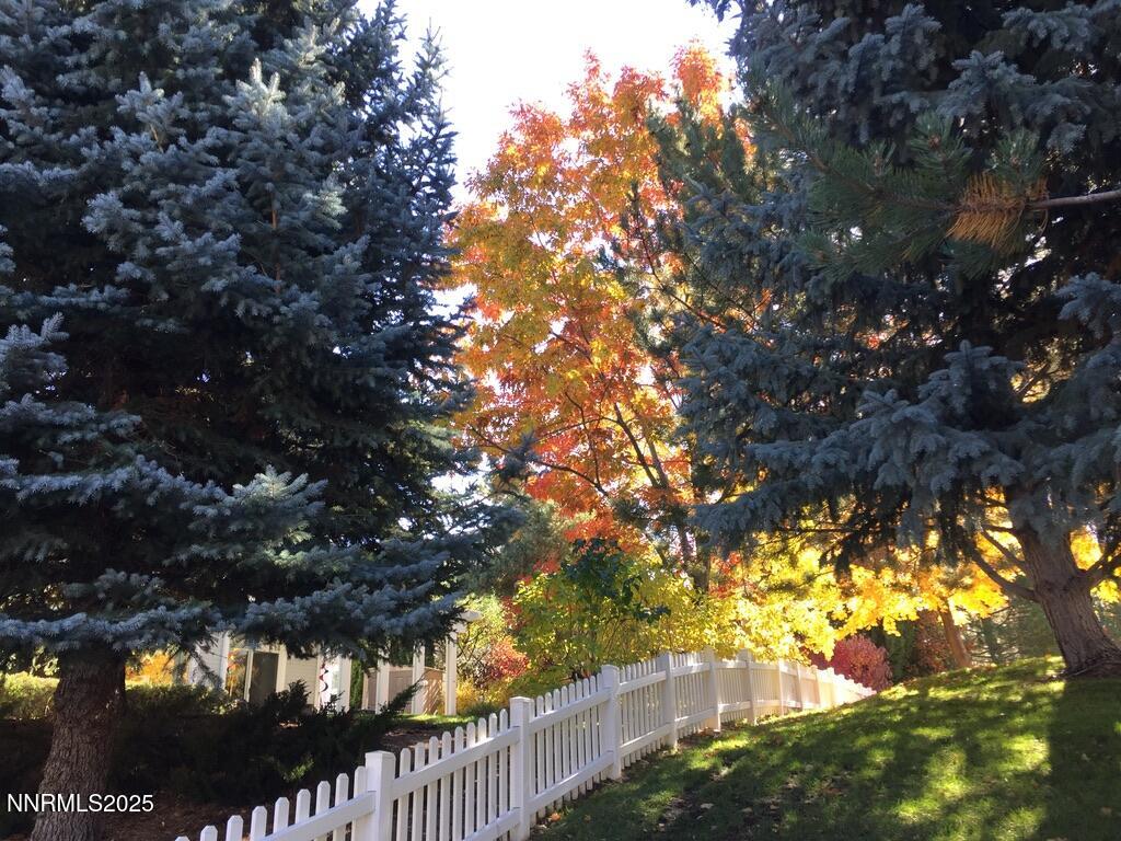 C8329C22-B472-4E40-B934-85016ADCA249_1_1