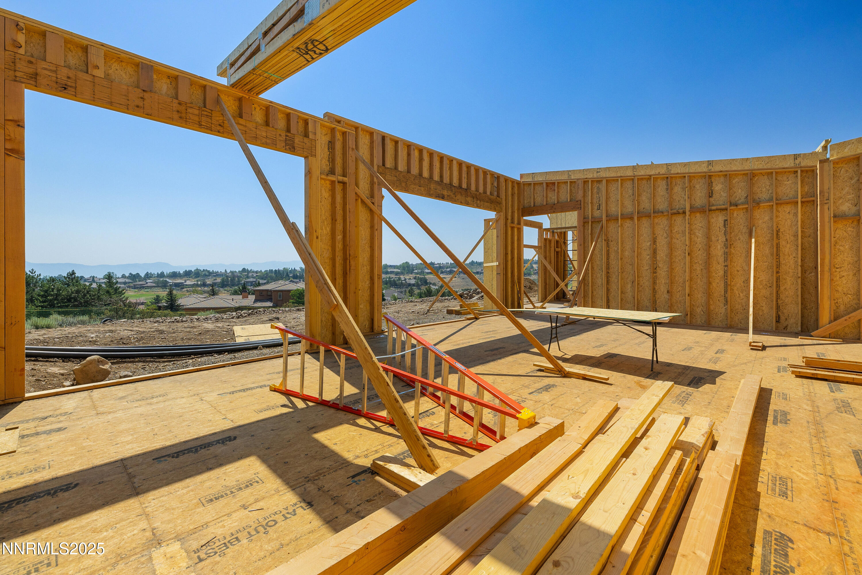 028_6832_rabbit_brush_ground-4_920