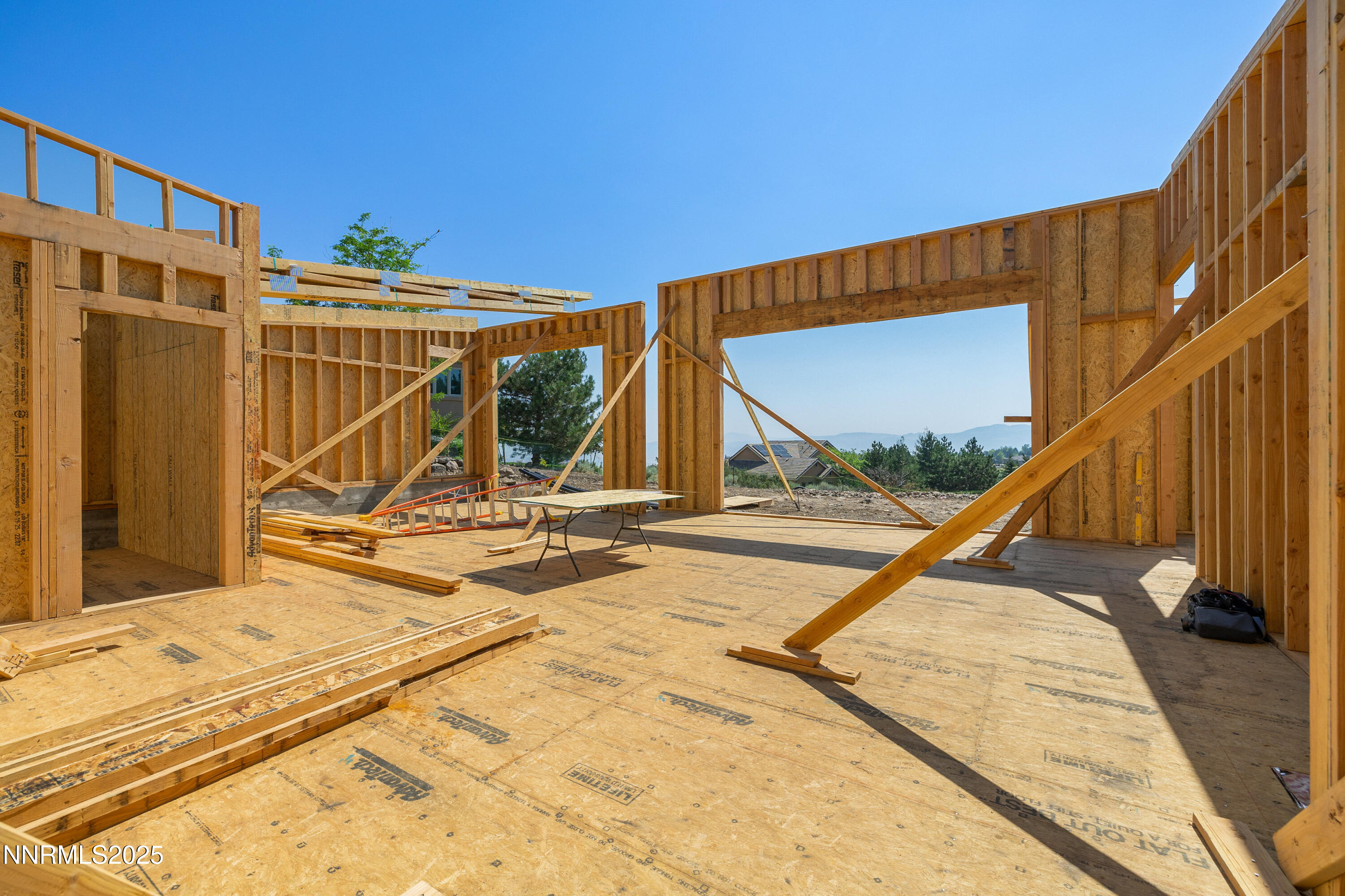 027_6832_rabbit_brush_ground-3_27