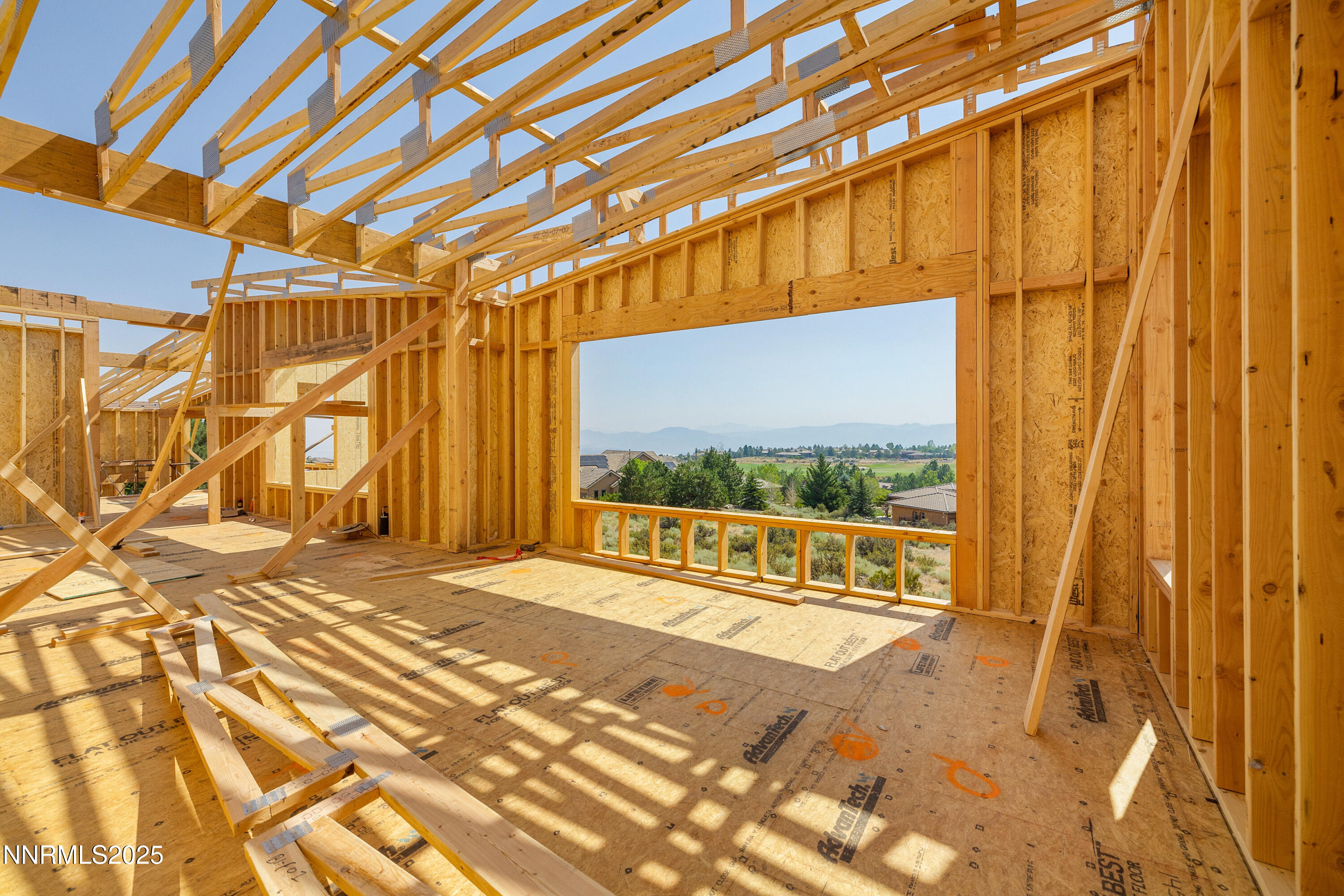 038_6832_rabbit_brush_ground-14_282