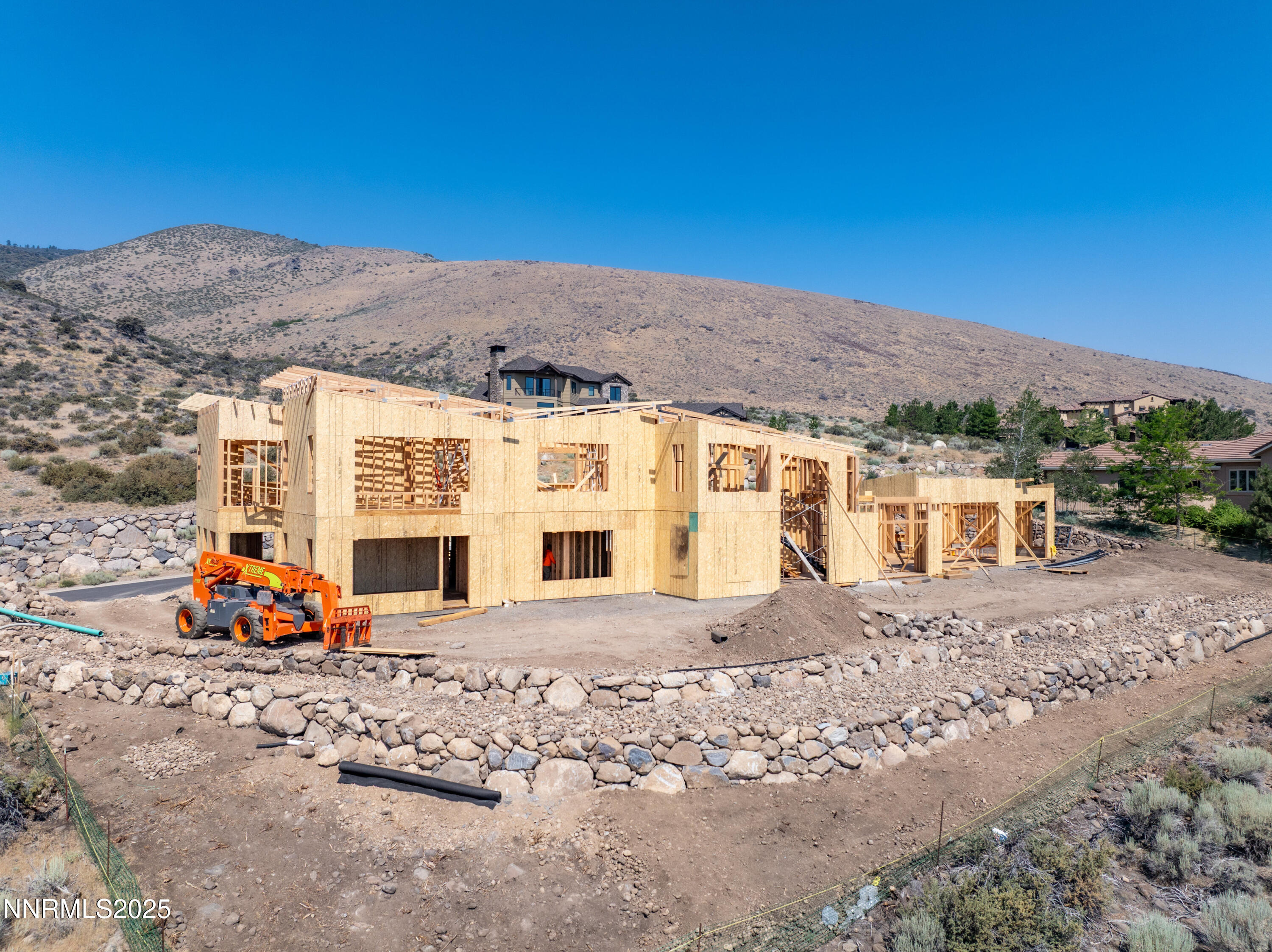 046_6832_rabbit_brush-8_571