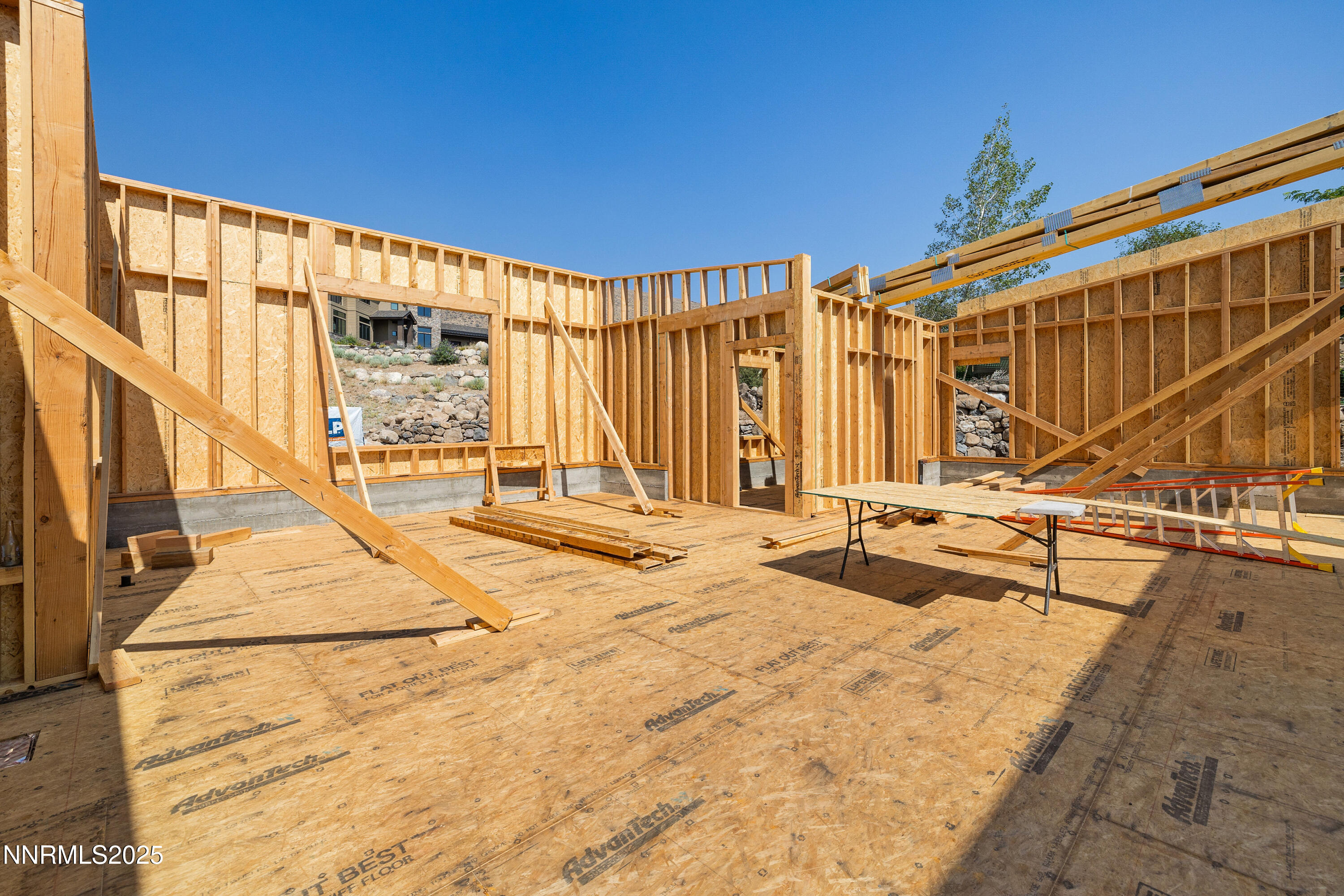 039_6832_rabbit_brush_ground_130