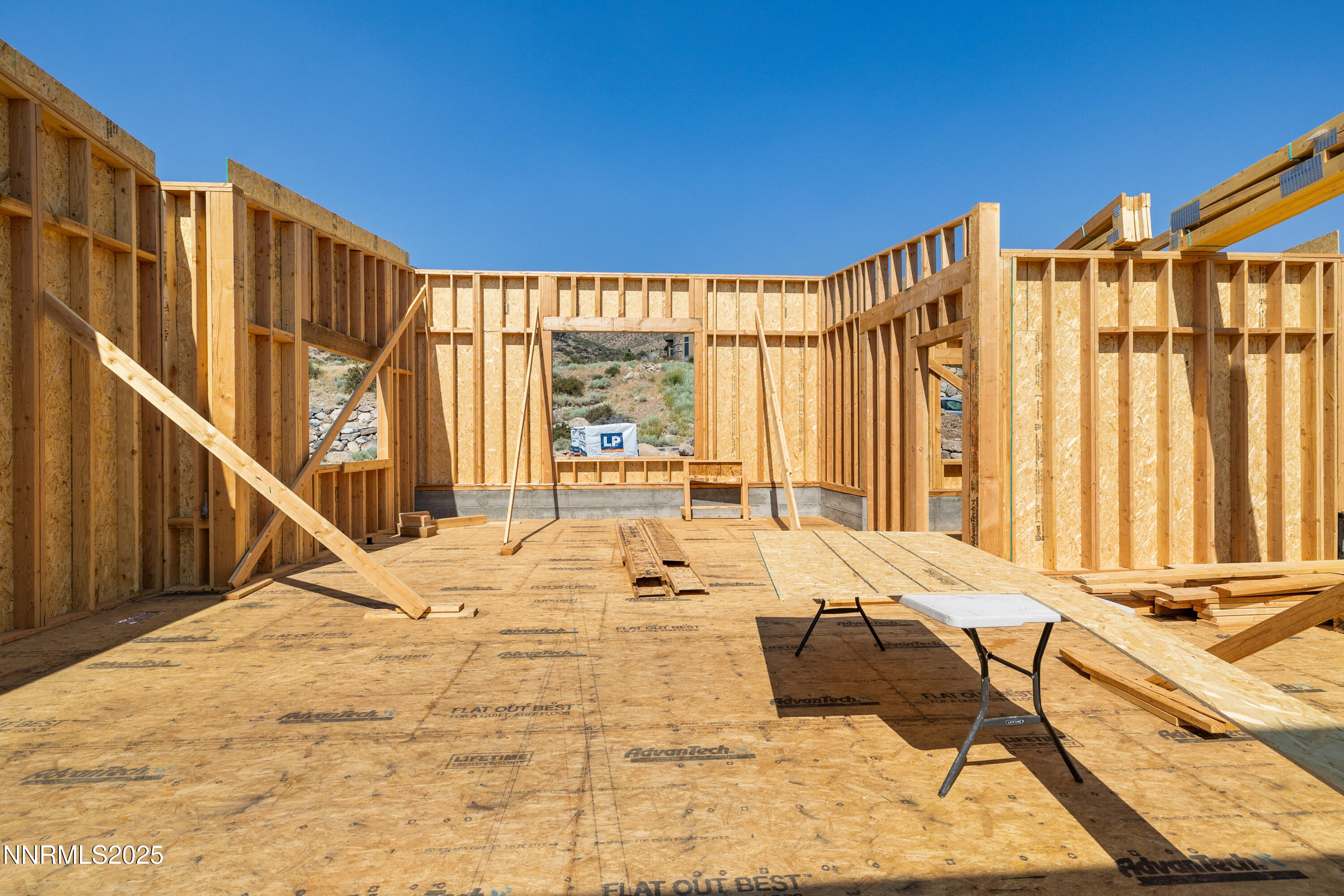 026_6832_rabbit_brush_ground-2_498