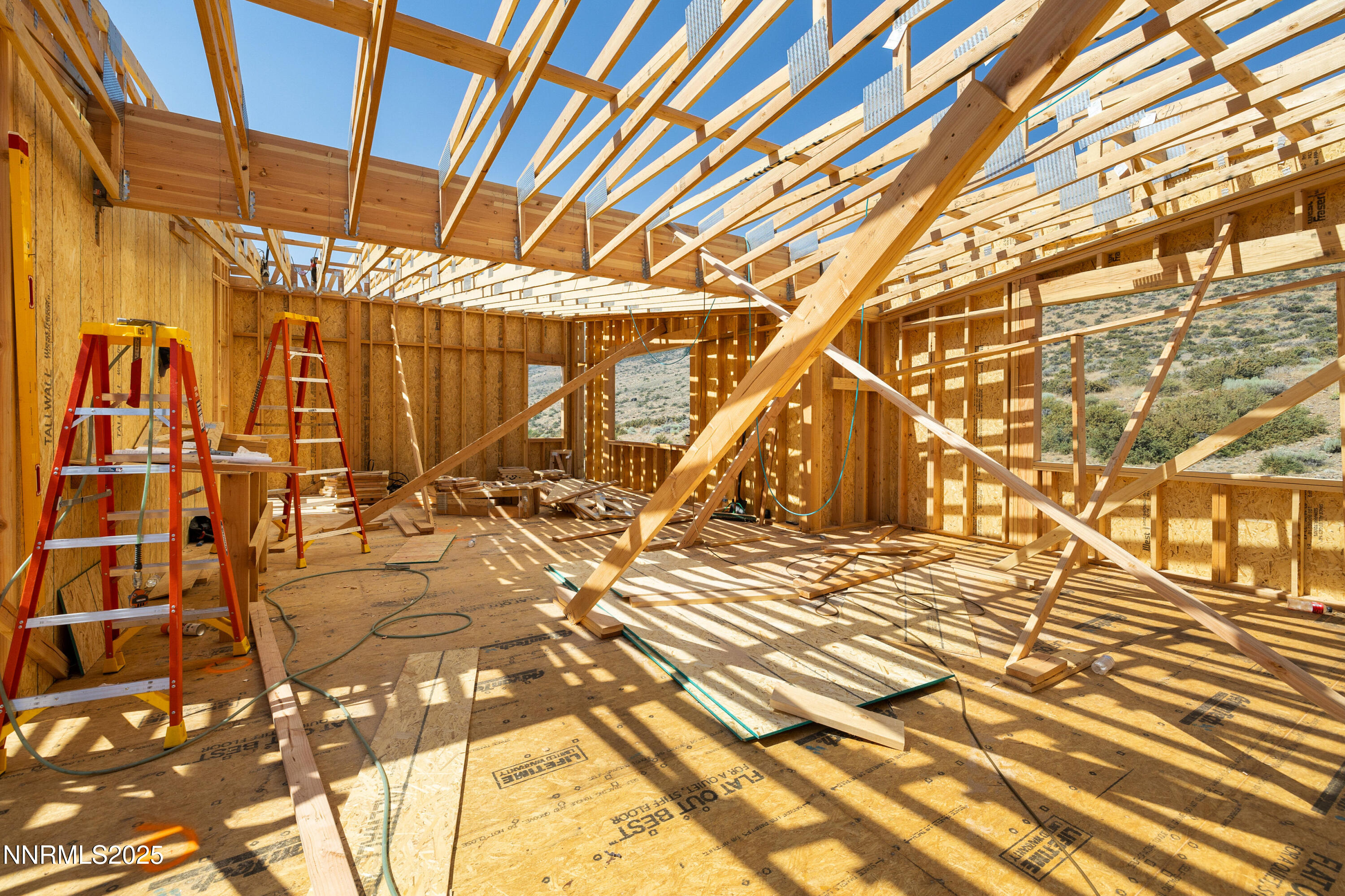 037_6832_rabbit_brush_ground-13_948