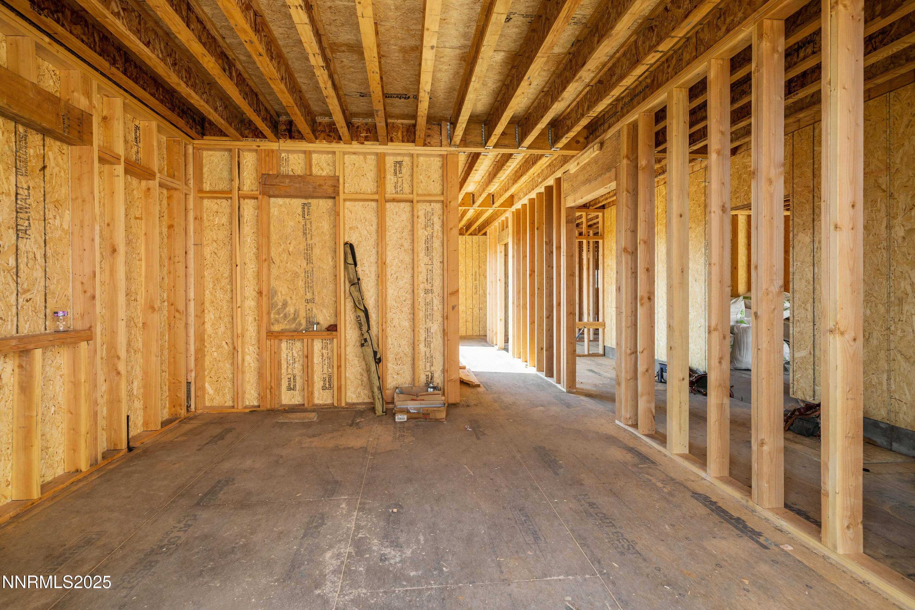 030_6832_rabbit_brush_ground-6_553