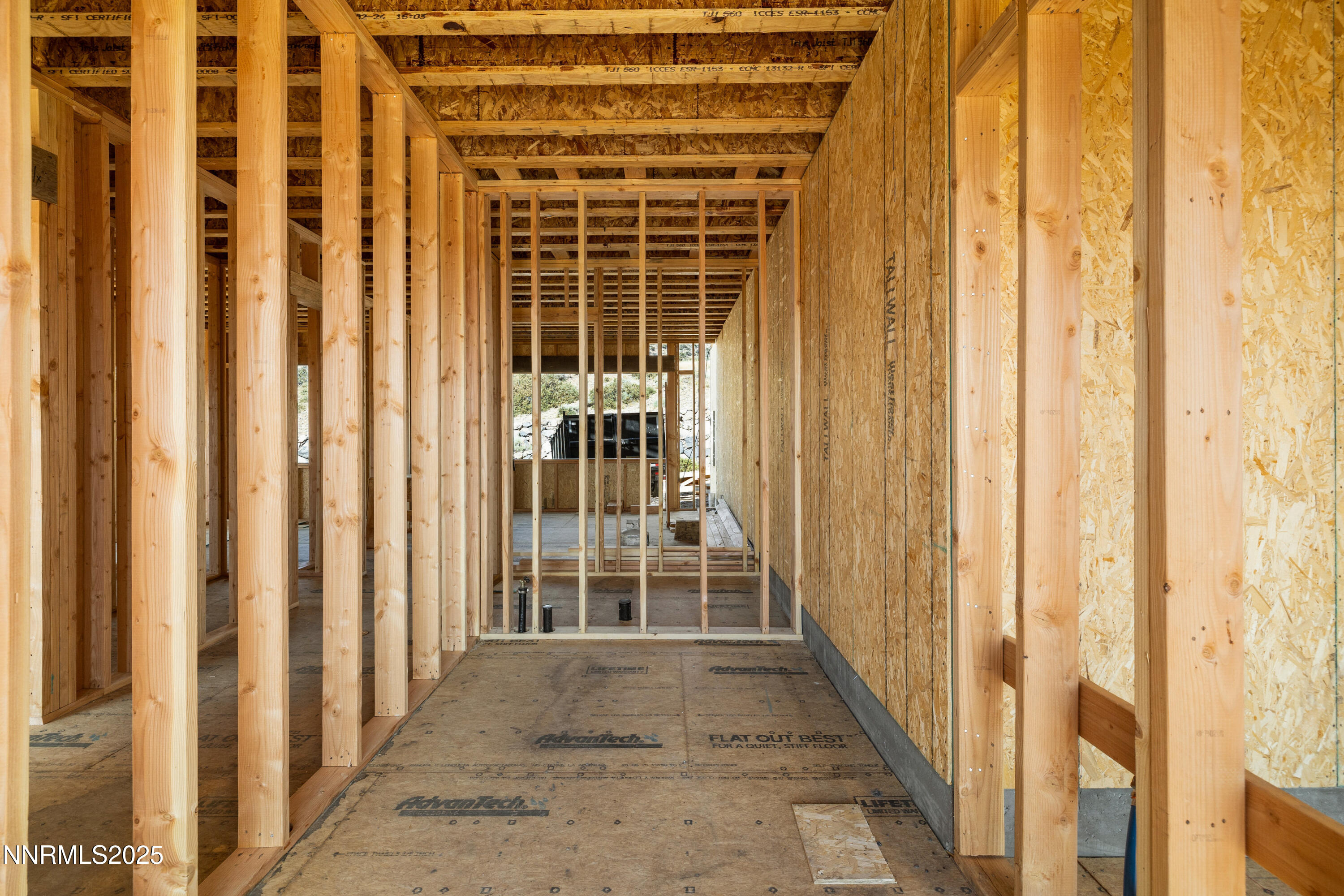 031_6832_rabbit_brush_ground-7_599