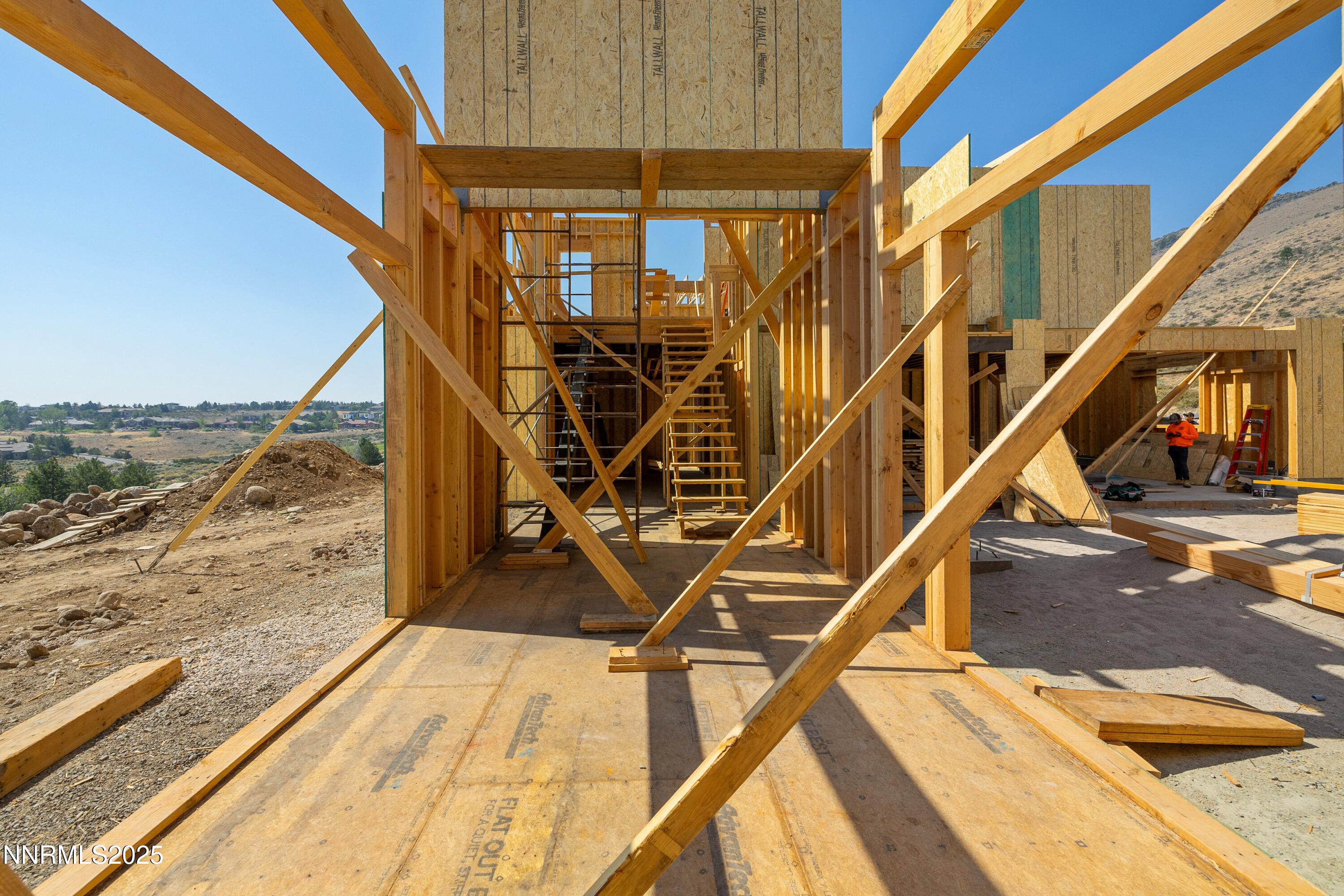 029_6832_rabbit_brush_ground-5_589