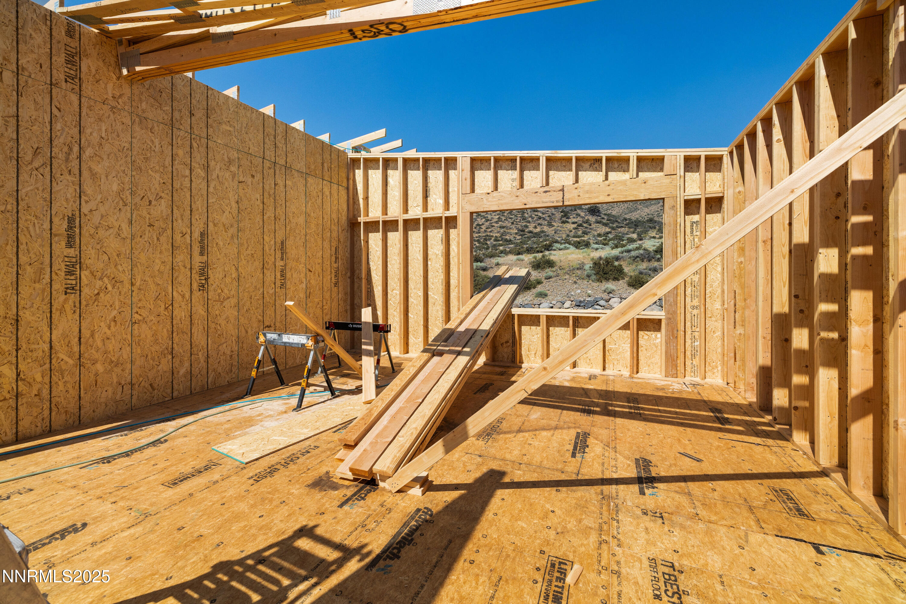 036_6832_rabbit_brush_ground-12_724