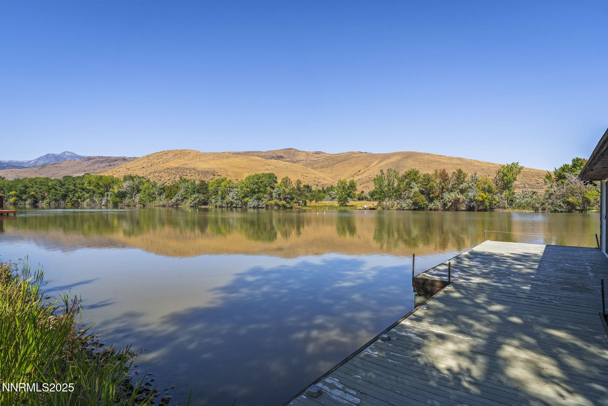 55-web-or-mls-_DSC8644