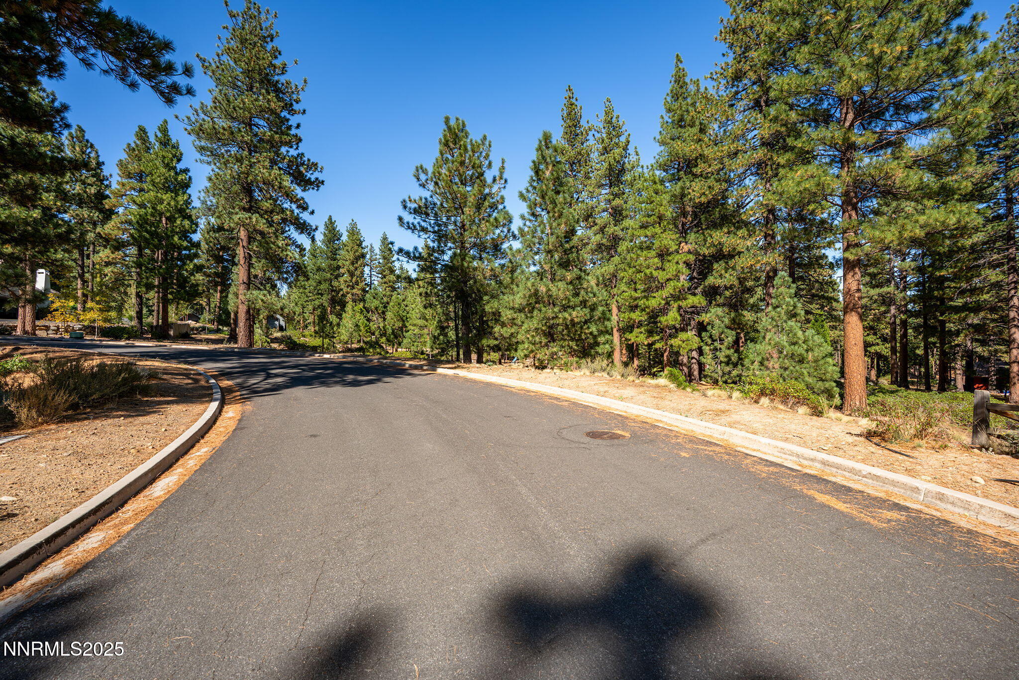 5-web-or-mls-_DSC3310