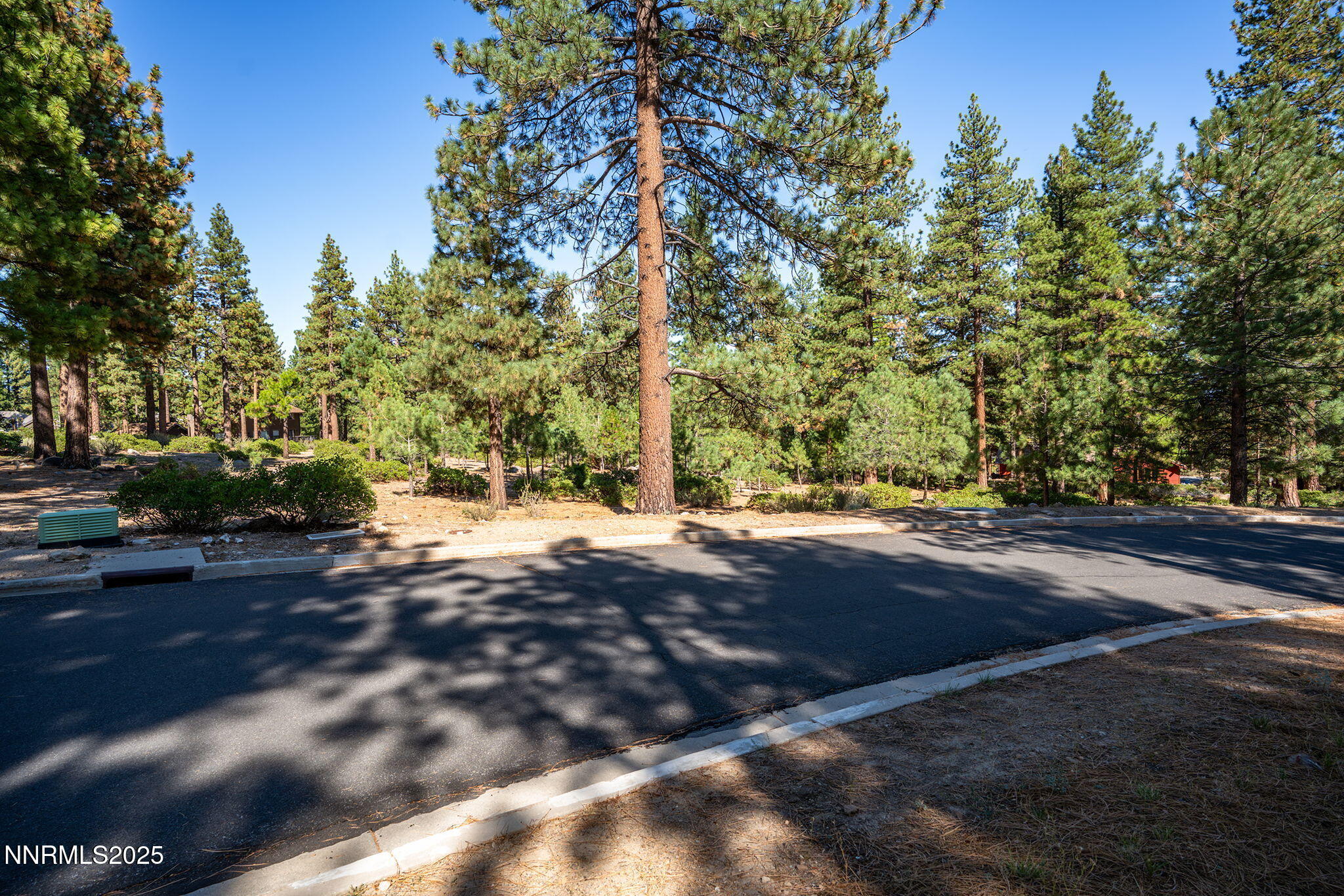 2-web-or-mls-_DSC3307