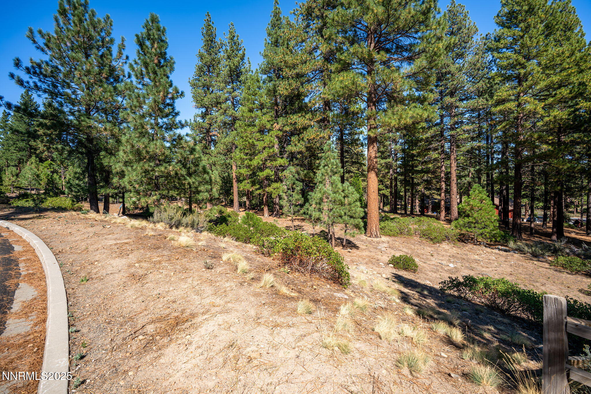 4-web-or-mls-_DSC3309