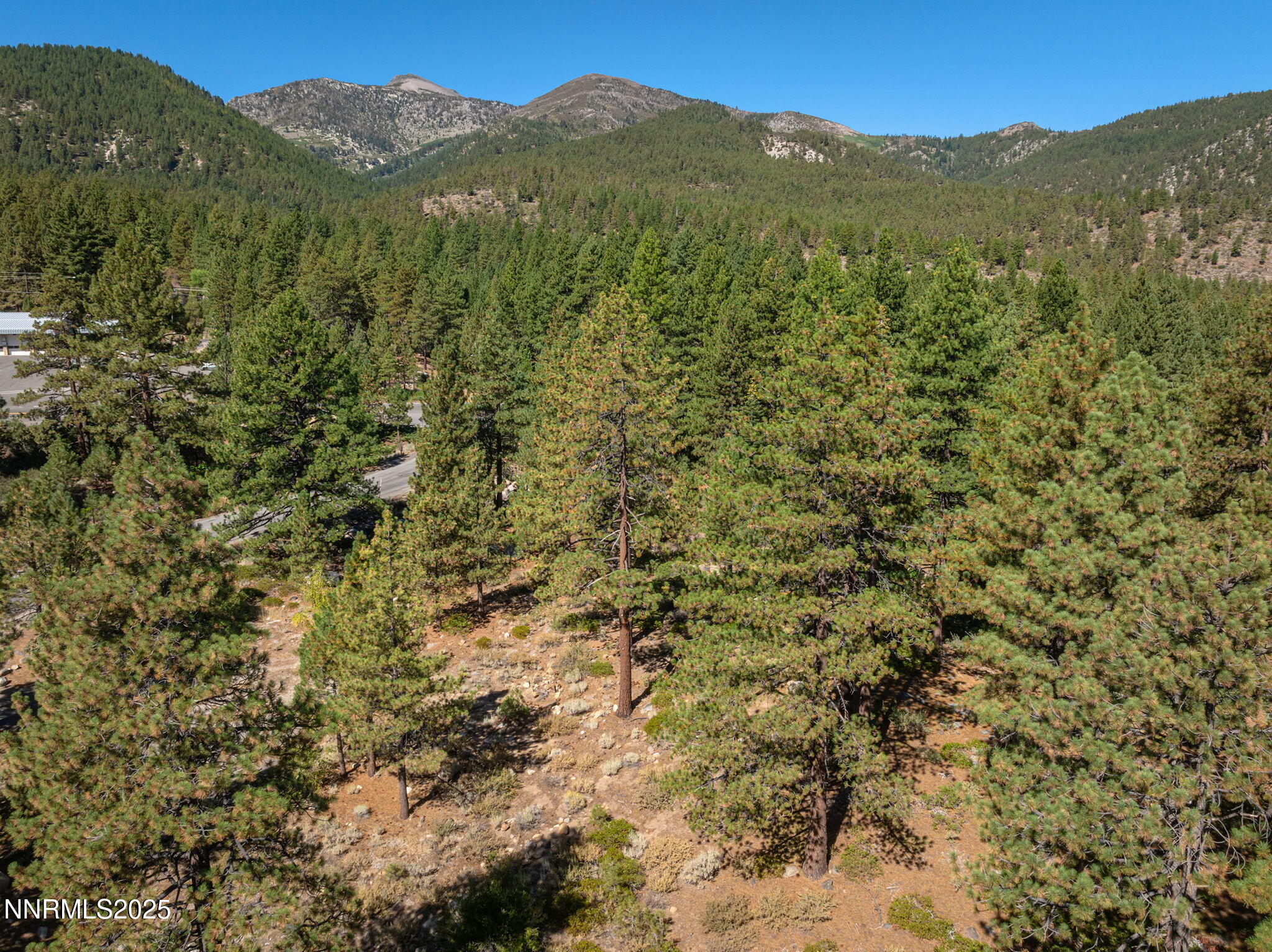 33-web-or-mls-DJI_0038