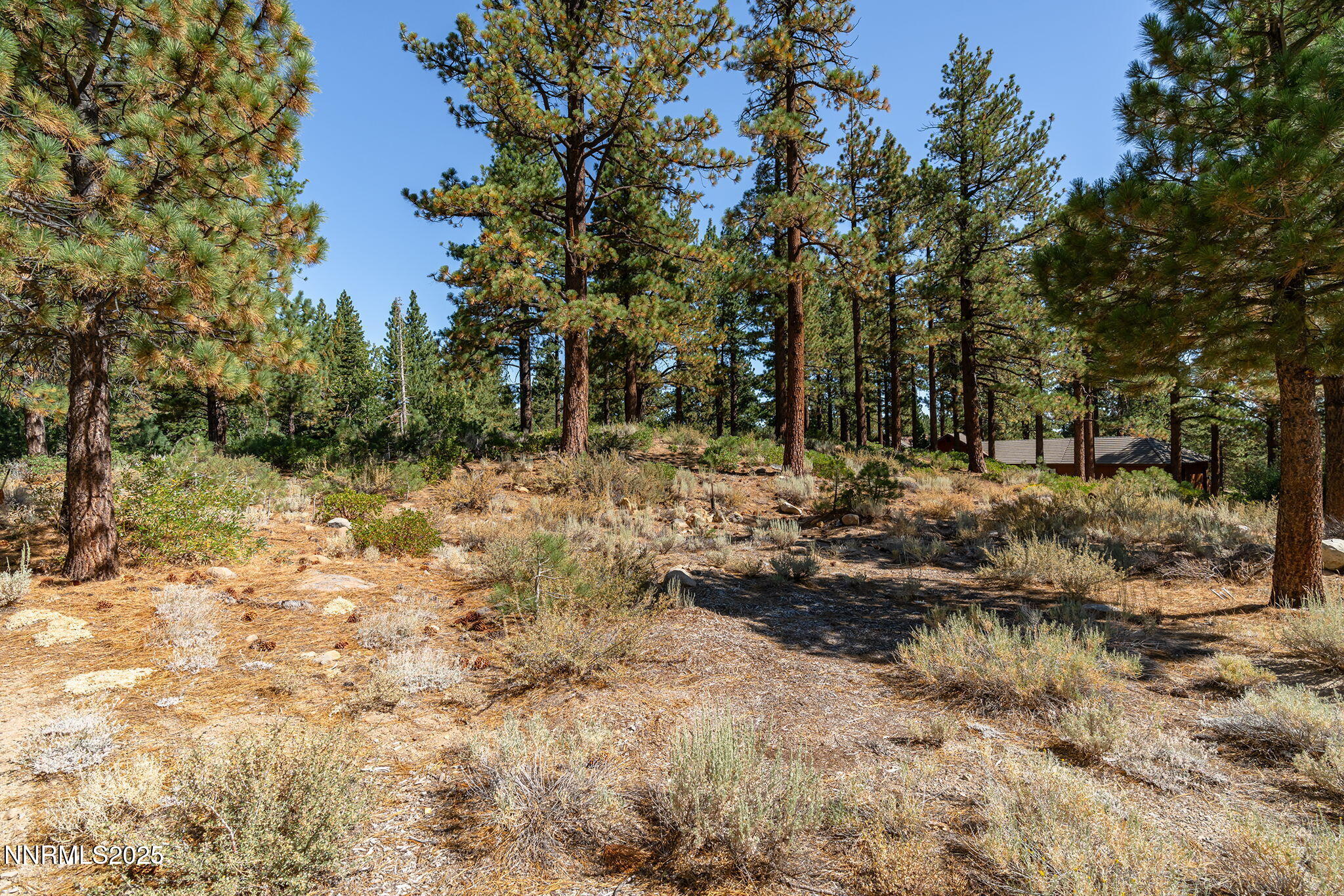 13-web-or-mls-_DSC3108