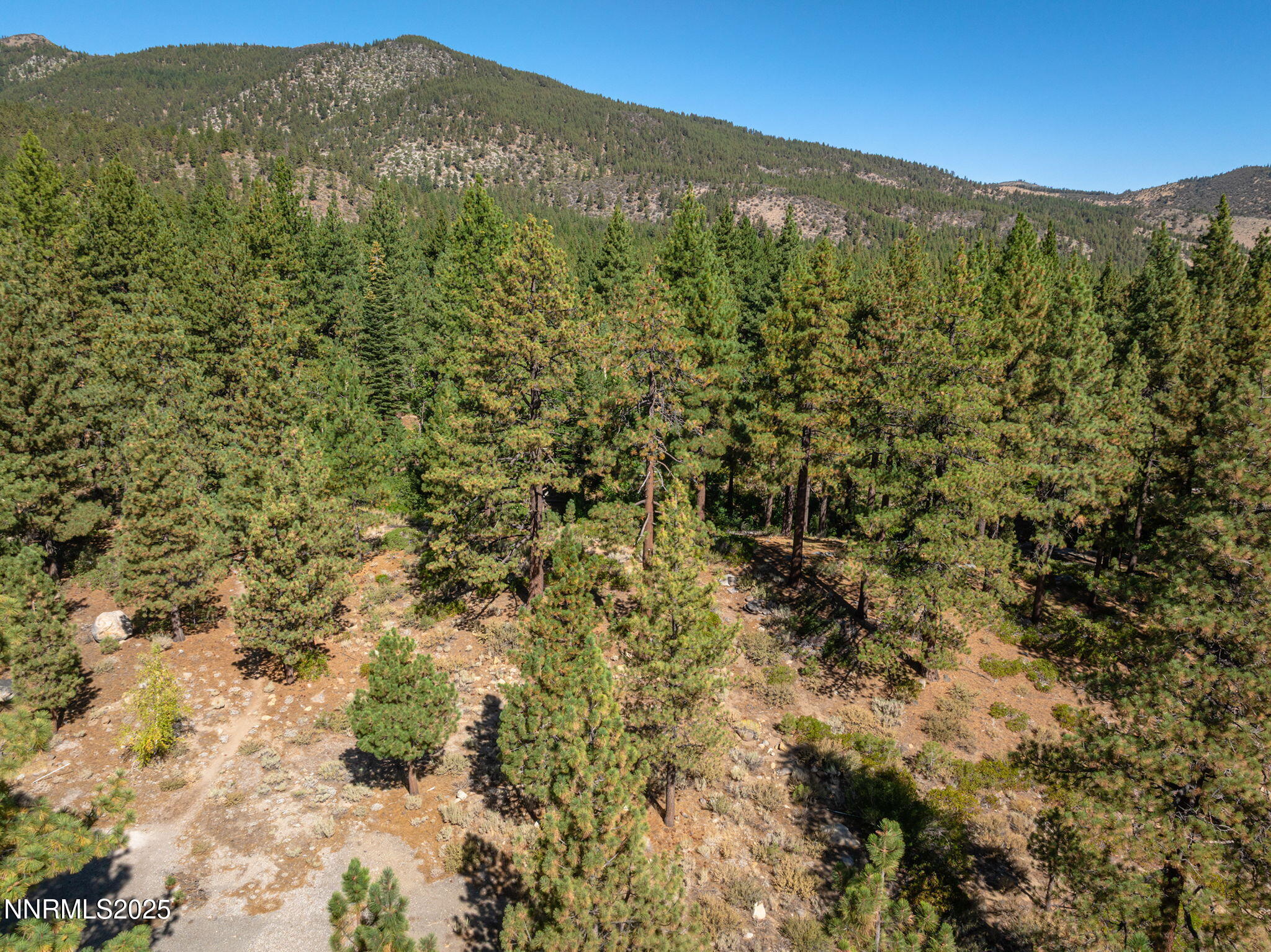 32-web-or-mls-DJI_0037