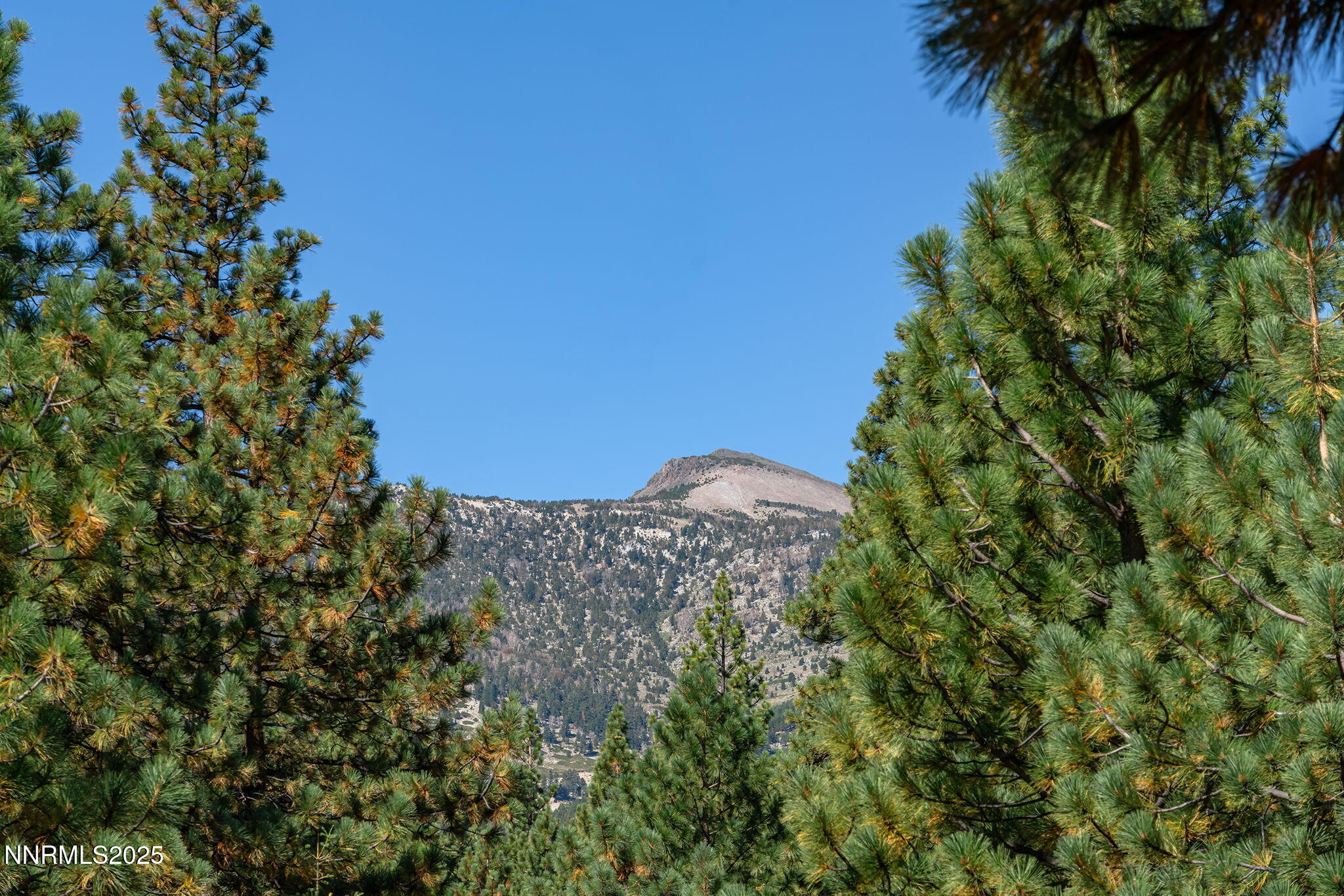 15-web-or-mls-_DSC3118