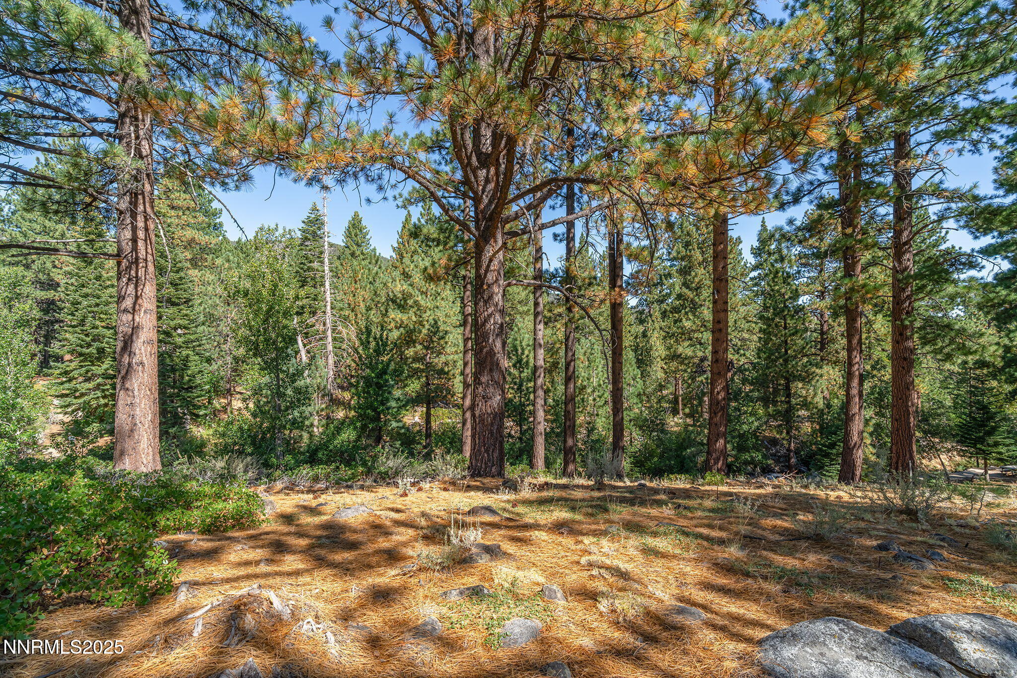 9-web-or-mls-_DSC3078