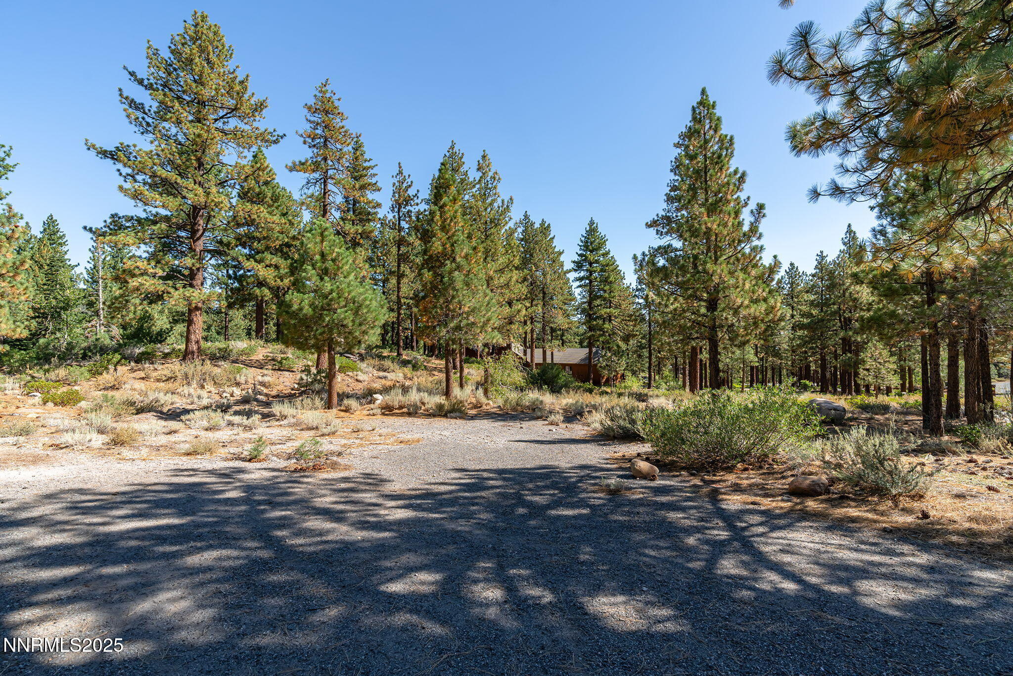 7-web-or-mls-_DSC3063