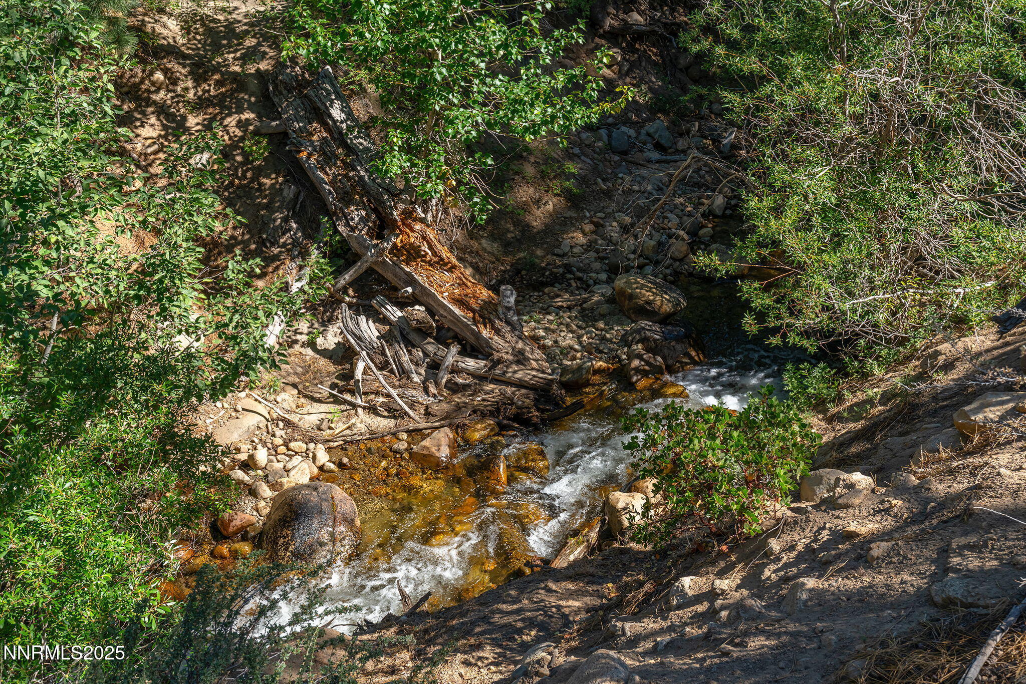 8-web-or-mls-_DSC3068