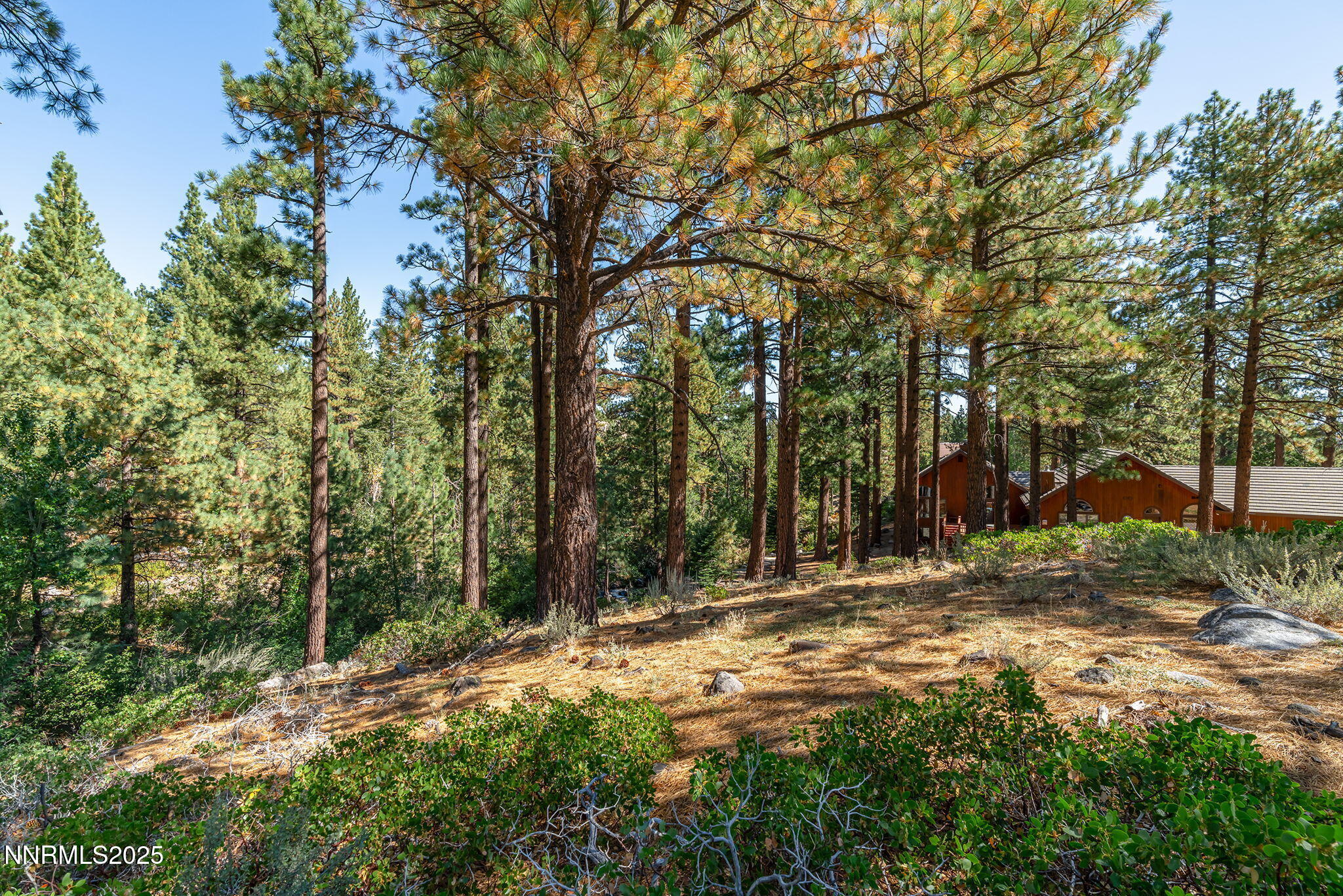 11-web-or-mls-_DSC3088