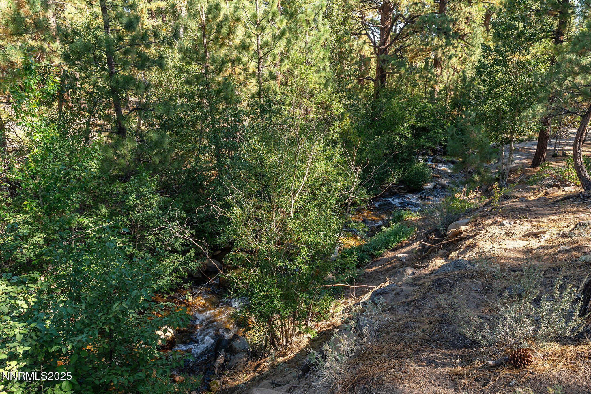 12-web-or-mls-_DSC3093