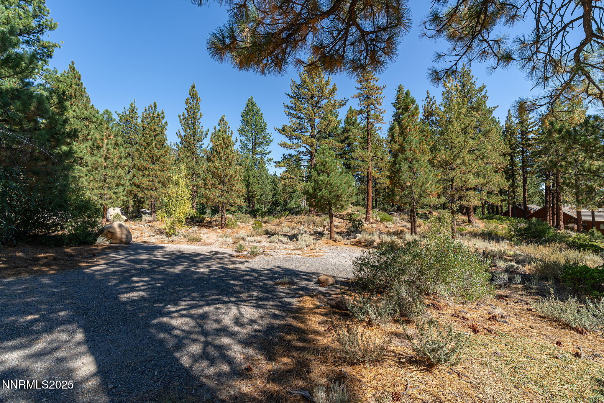 6-web-or-mls-_DSC3058