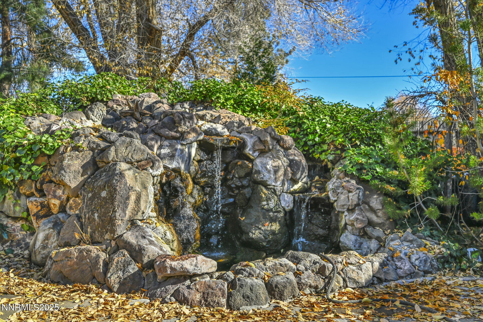 21-web-or-mls-1165-harvey-ln