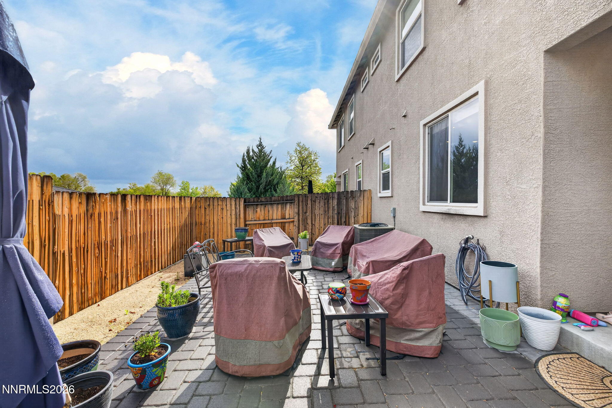 34-web-or-mls-775 Sarcinella-72